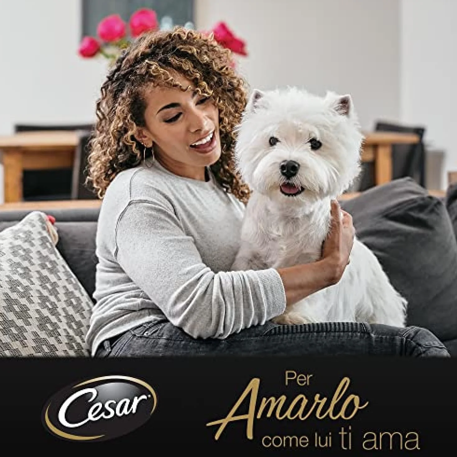 Cesar Selezione in Salsa, Cibo Umido per Cani, Gusti Assortiti con Carne e Verdure, 96 Bustine da 100 g, Totale 9.6 kg