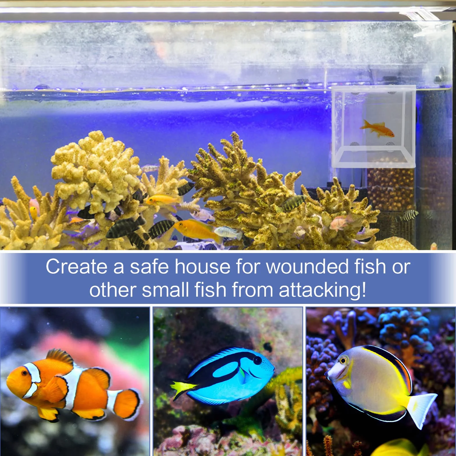 2 scatole per l'allevamento di pesci per acquario, scatola di isolamento per acquario, frittura, vivaio, con 8 ventose per proteggere i pesci del bambino per acquario, bianco, 16 x 14 x 16 cm