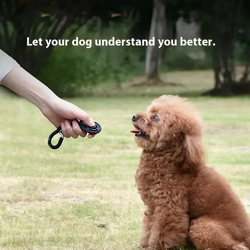 Clicker per Cani Addestramento Professionale con Laccetto Spirale Portatile Strumento Addestramento Cani Gioco Interattivo Educazione Canina