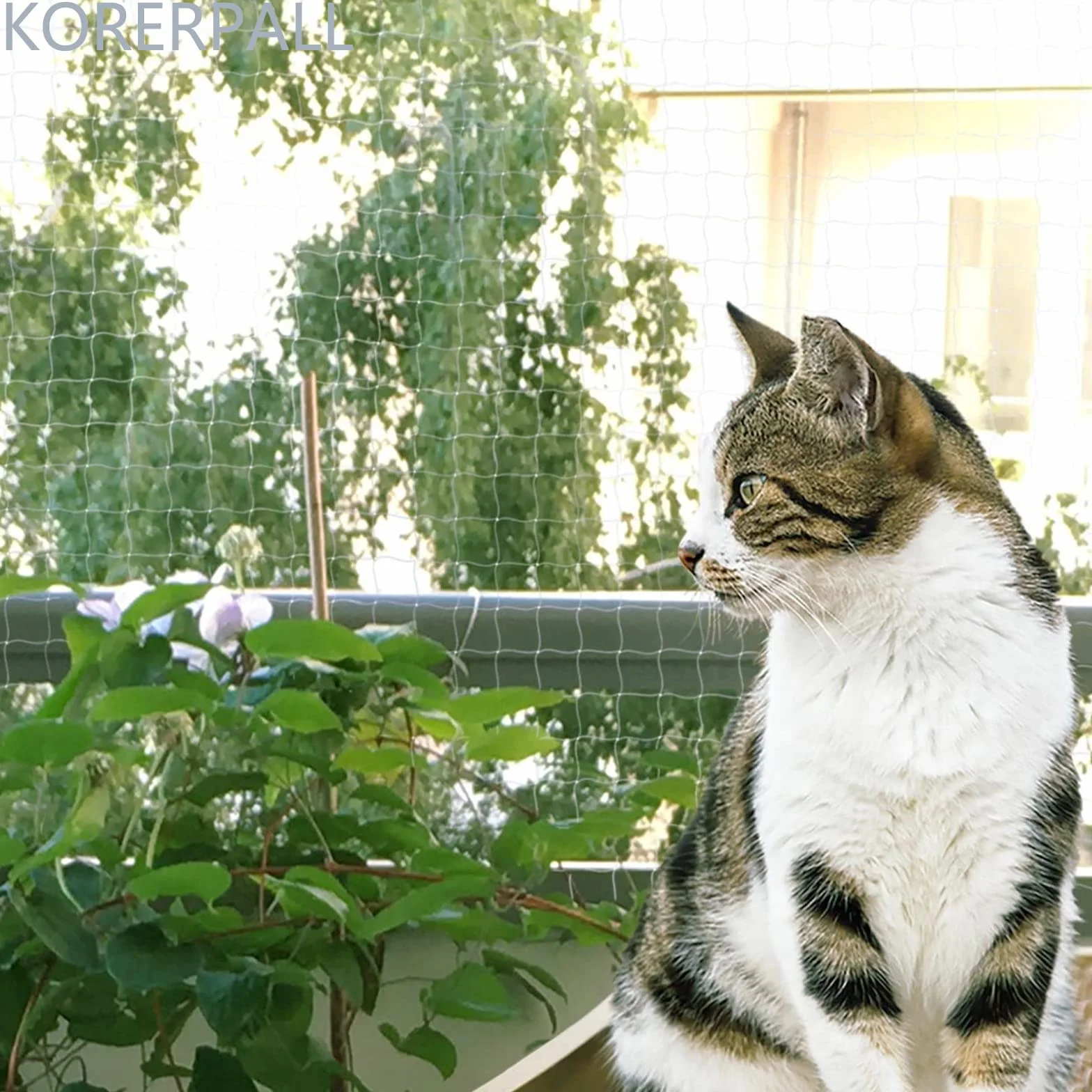 Rete per Gatti Balcone, Rete Balcone Gatto 10 x 3 m, Rete Anti Uccelli, anti piccioni, Rete Gatti，Colore Trasparente, Tenacia Nuovo Materiale Antietà, Protezione Piscina, Maglia Quadrata