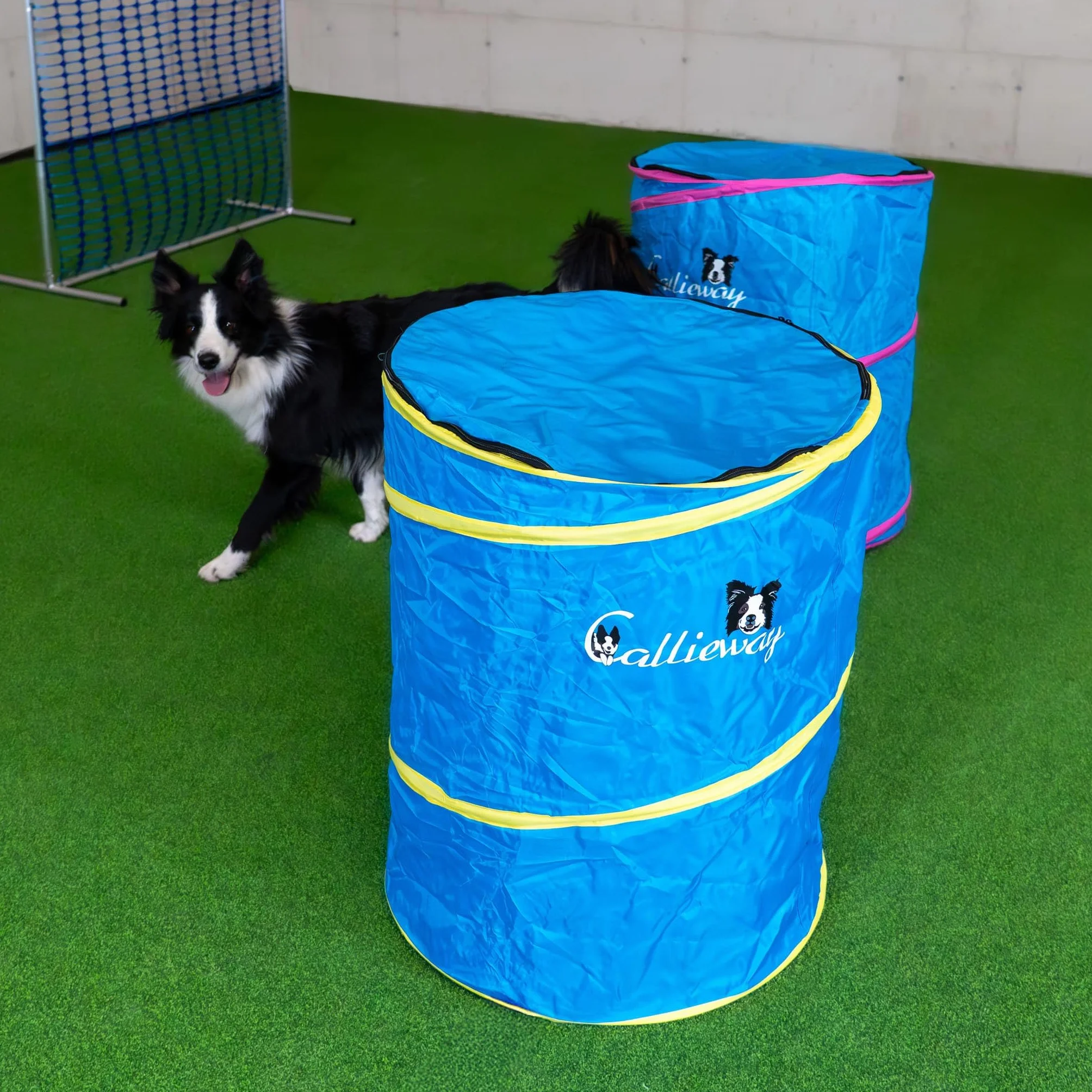Callieway Hoopers Agility Barrel – Tonnella/barile per addestramento del cane (confezione doppia, blu) | Leggero, stabile e pesante | Include borsa per il trasporto | Agility Parcours per cani | Blu