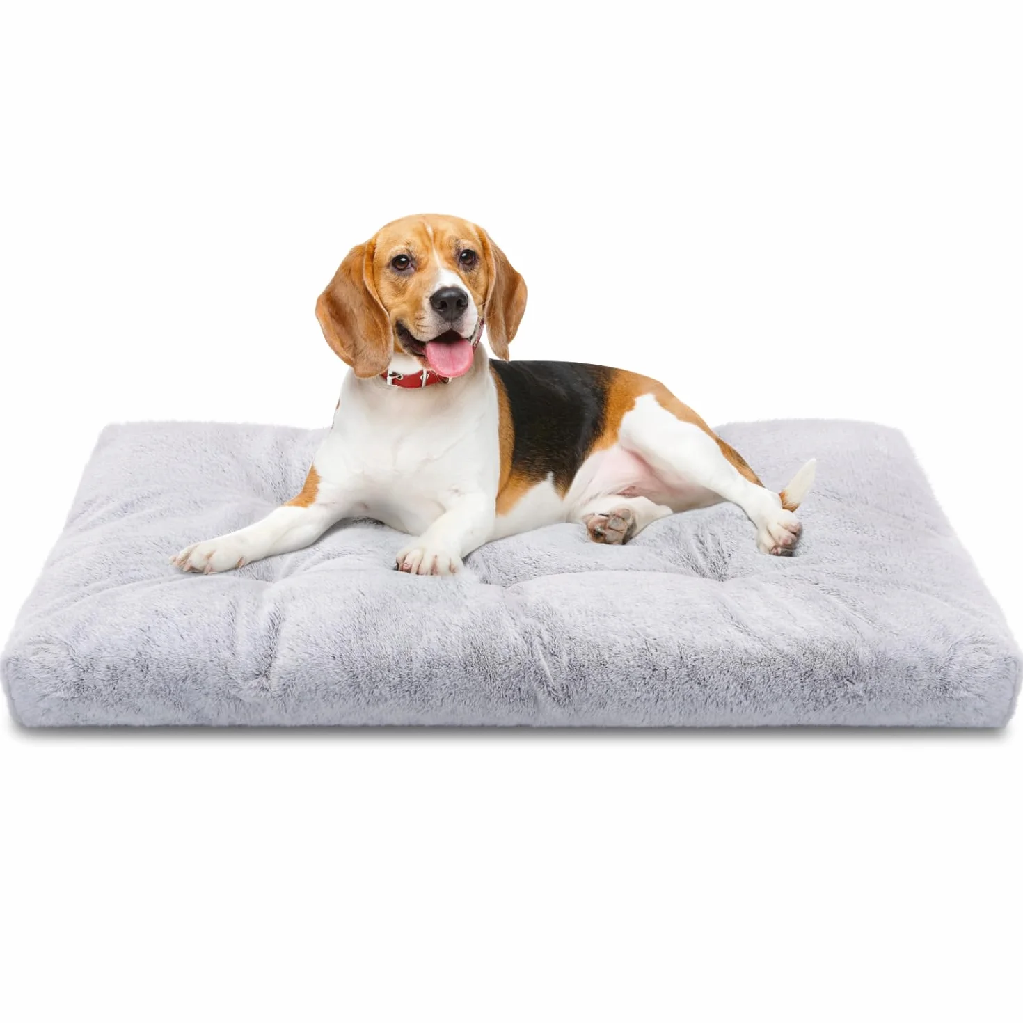 Nobleza Letto per Cani Lavabile Medio 80x50x10 cm Cuccia Cane Interno Antiscivolo Morbido