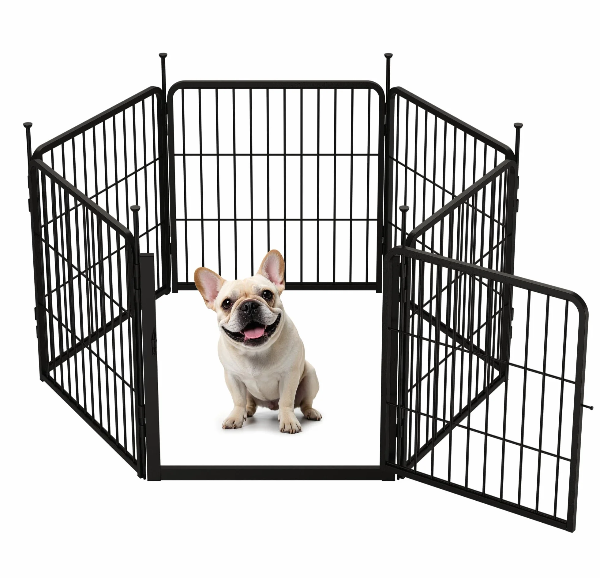 SunsGrove Recinto per Cani 6 Pannelli 60 cm Porta Larga Antiruggine Esterno Nero
