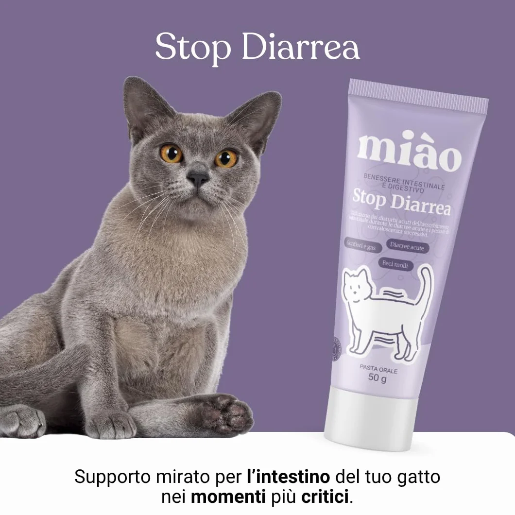 Miào Stop Diarrea Gatto Pasta – Supporto Intestinale per Diarrea Acuta, Feci più Solide, Reintegro Elettroliti e Liquidi, Pancia Gonfia, Facile Somministrazione