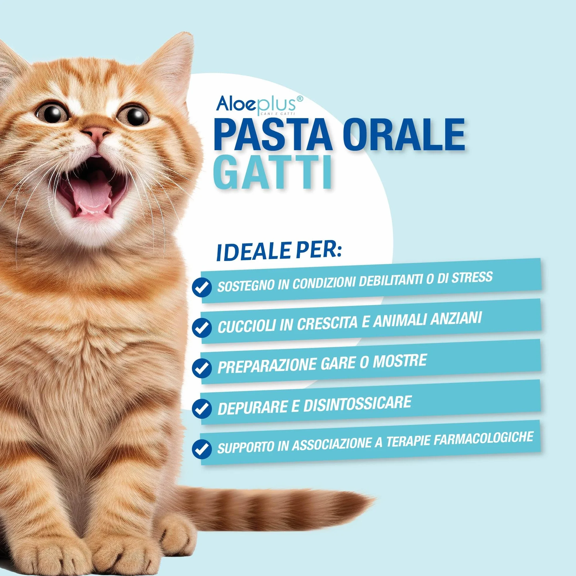 ALOEPLUS Gatti Pasta Orale - Alimento Complementare Energetico, Disintossicante con Aloe Arborescens BIO, Rafforza le Naturali Difese di Gatti Anziani e Cuccioli, Contro Alitosi (1 pz) (15 ml)