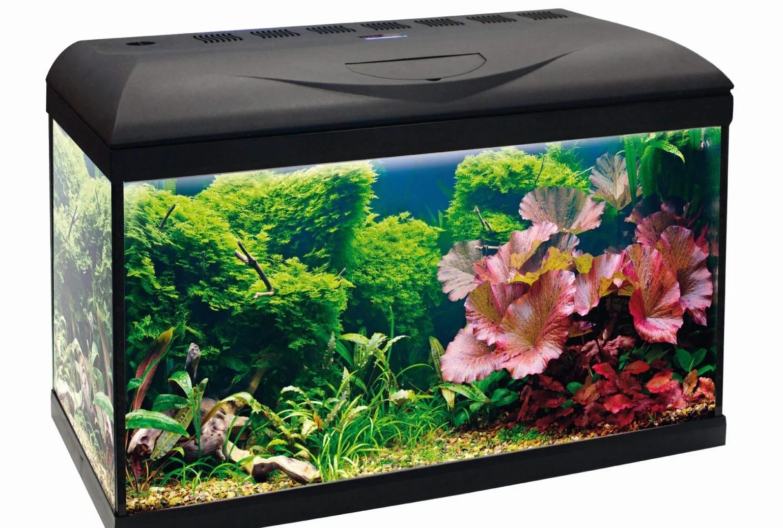 Amtra Basic 60 LED - Acquario completo di 55 litri, illuminazione 8 watt, filtro interno , 60x32x42 cm