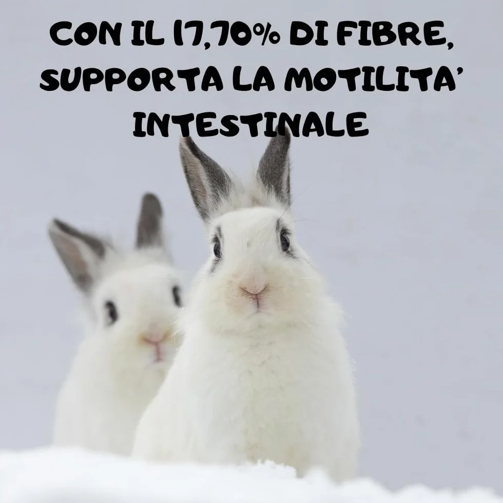 Badia Mangime per Coniglio: Confezione da 10 kg di Nutrizione Equilibrata per Conigli e Conigli Nani, il Cibo Essenziale per il Benessere dei tuoi Piccoli Amici!