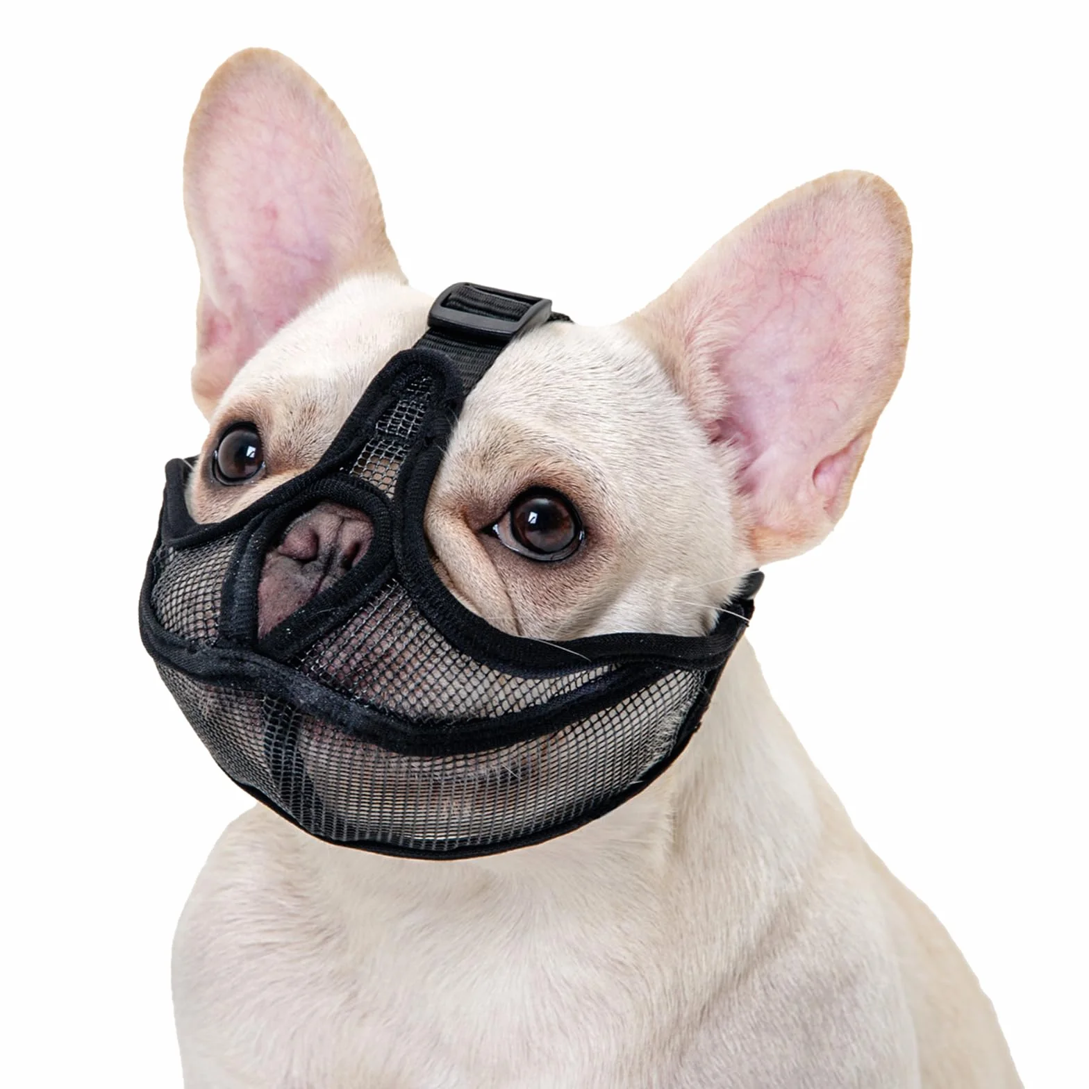 Museruola per Bulldog Francese, non copre la fronte del cane per cani dal muso corto, rete regolabile per la respirazione, anti mordere, abbaiare(L,Nero)