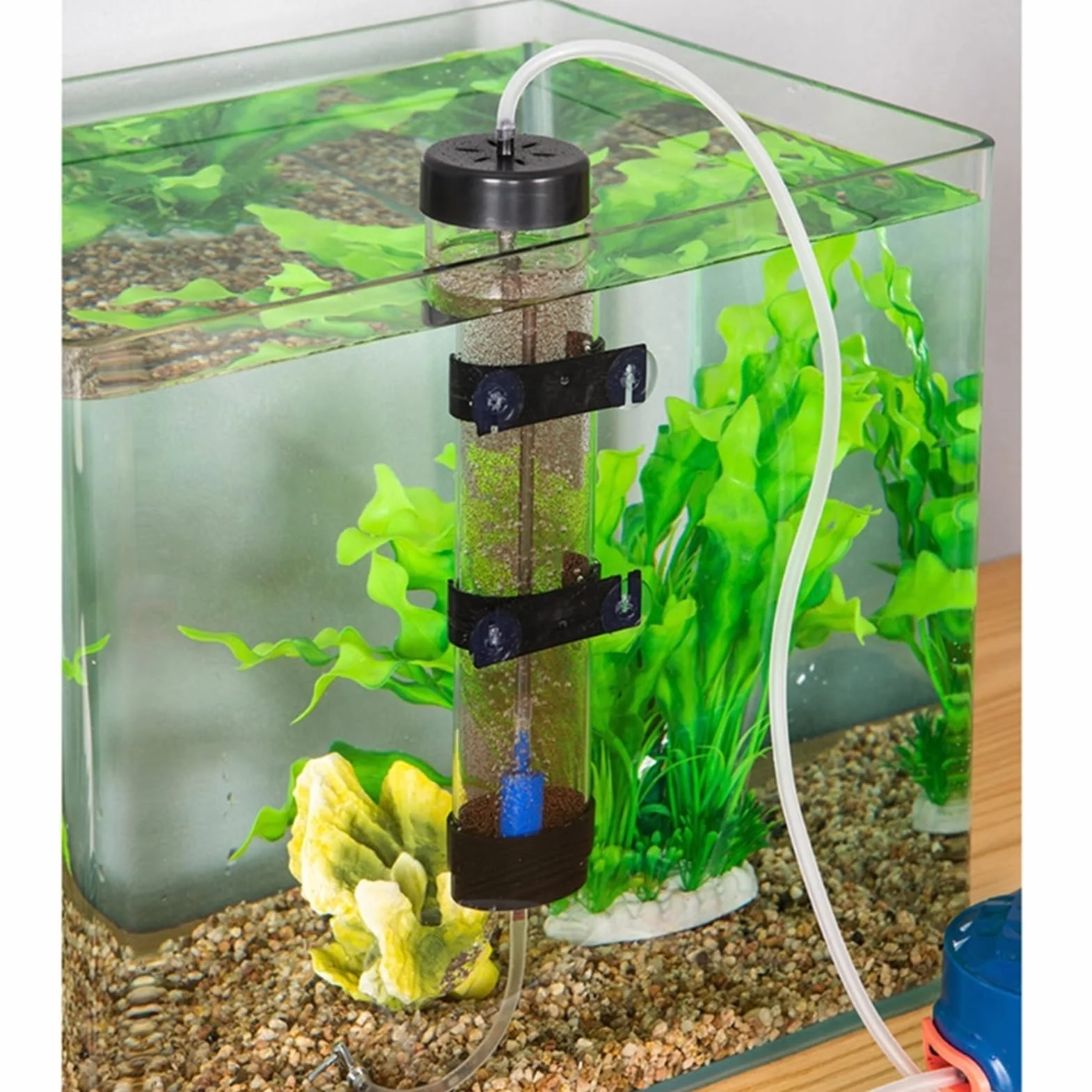 Incubatrice Per Uova Di Gamberetti In Salamoia - Kit Per Incubazione Di Uova Di Artemia Per Acquario, Incubatrice Per Allevamento Di Gambereti Per Acquari | Incubatriice Per Gamberetti Con