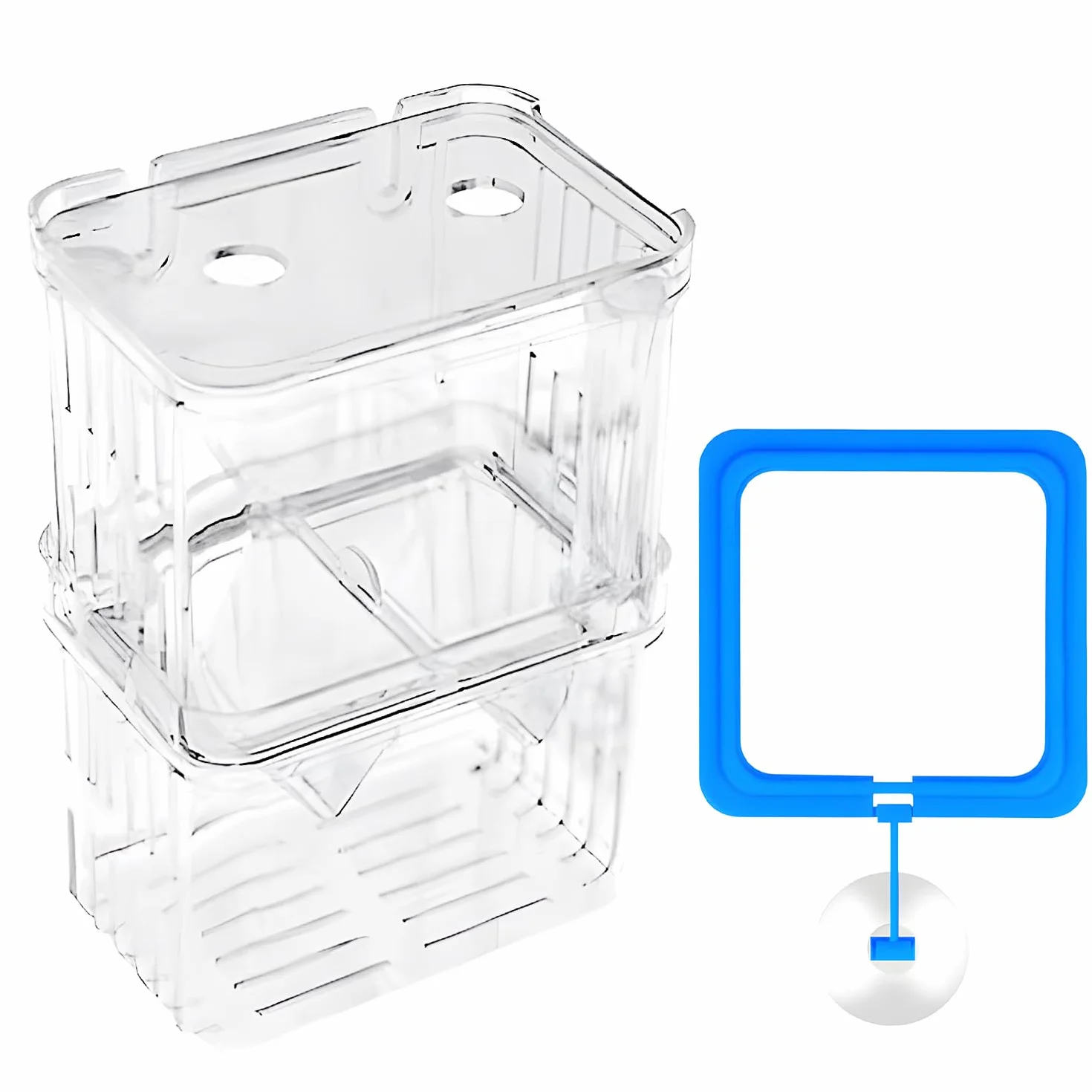 Scatola di allevamento per Guppy e specie tropicali, in plastica trasparente con serbatoio di isolamento, incubatrice galleggiante e divisore