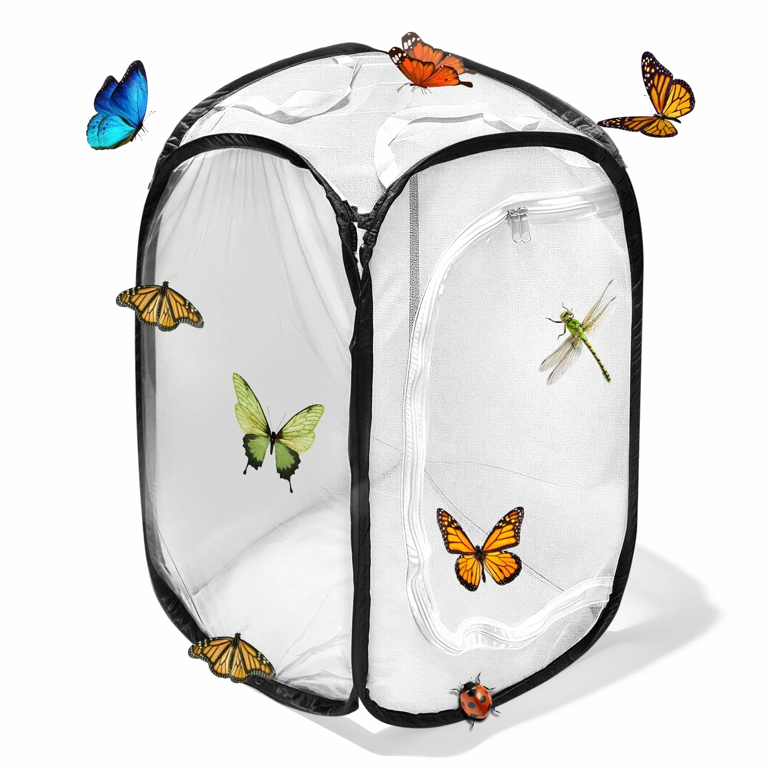 Gabbia per Insetti e Farfalle,Gabbia per Habitat Farfalla, 40×40×60 cm, Terrari Pieghevole in Rete per Piante, Insetti (Nero)