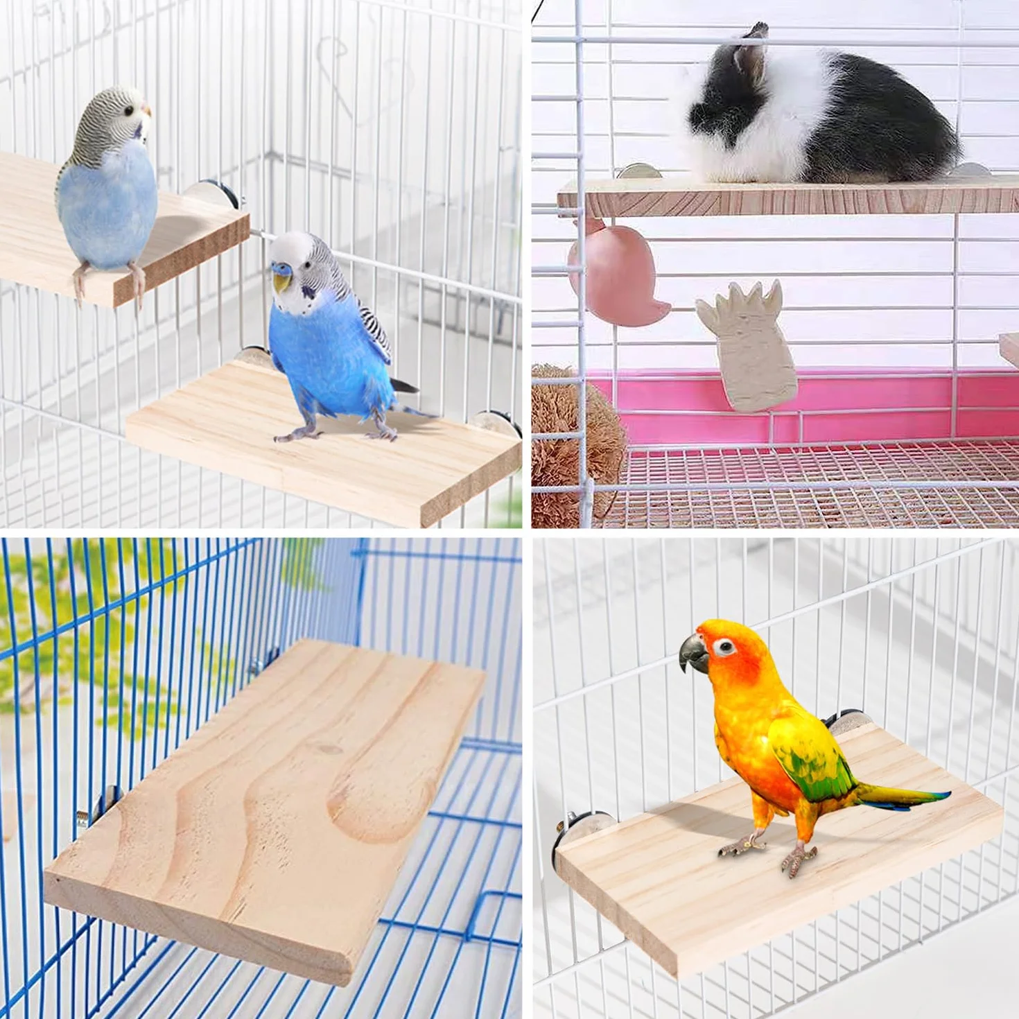 4 Pezzi Piattaformas per Posatoio per Uccelli Piattaforma della Gabbia per Criceti Pappagallo Piattaforma Quadrata per Pappagallo Criceto Scoiattolo Cockatiel Animali Domestici