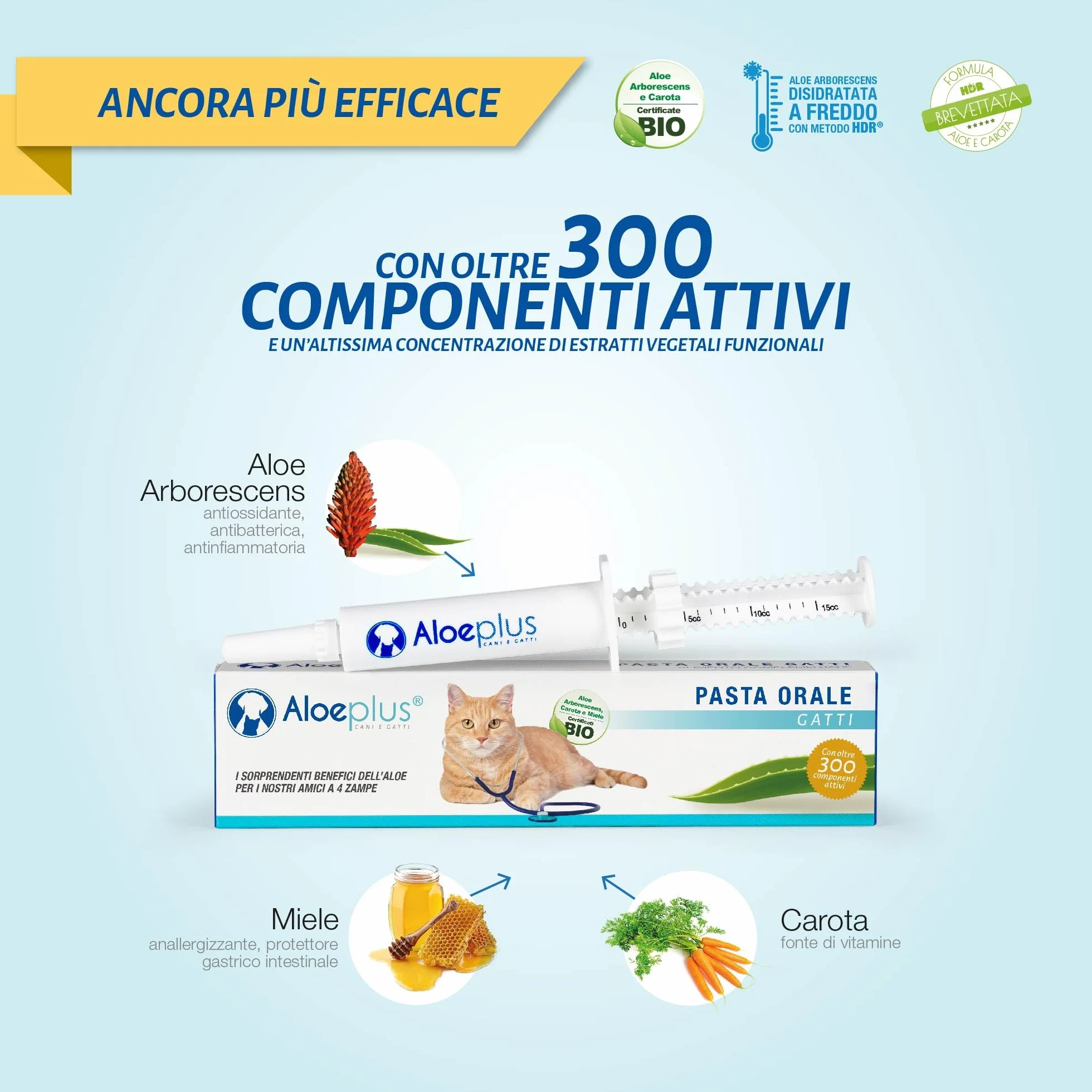 ALOEPLUS Gatti Pasta Orale - Alimento Complementare Energetico, Disintossicante con Aloe Arborescens BIO, Rafforza le Naturali Difese di Gatti Anziani e Cuccioli, Contro Alitosi (1 pz) (15 ml)