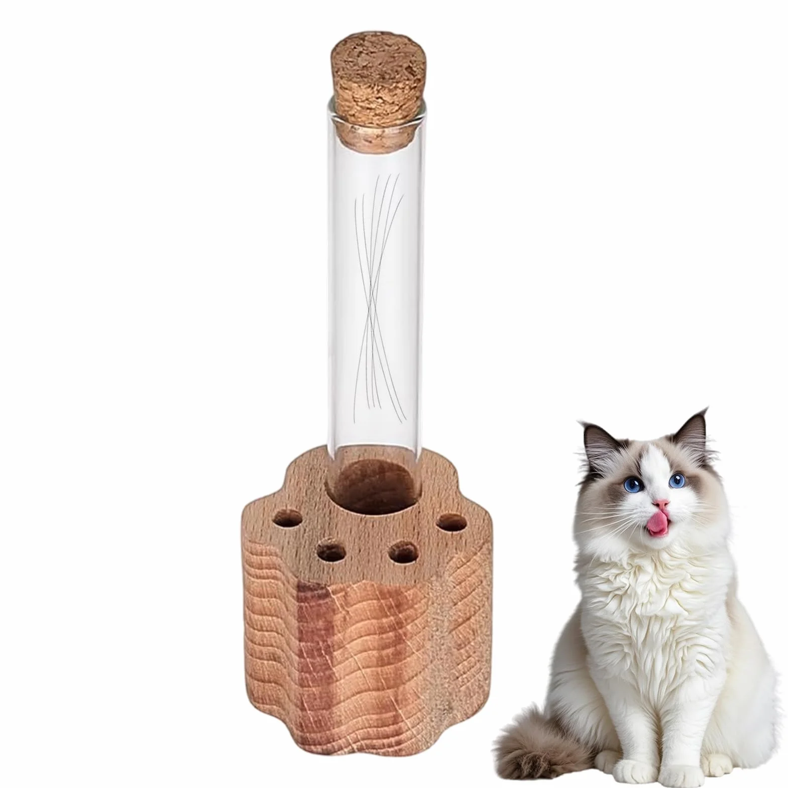 Barattolo Per Baffi Di Gatto Portabaffi Mini Vaso Trasparente Ricordo Perdita Animali Domestici