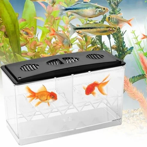 Amexo Sala Parto Acquario, 1,5 L Trasparente Acquario Acquario per Pesci Rossi Scatolaper Incubatrice per Gamberetti Guppy