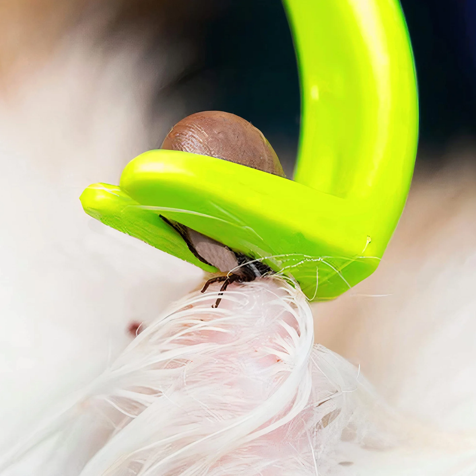 MYDAISY Pinza zecche da Uomo 3 in 1 – Pinzetta Zecche Cani Pinza per Zecche Cani, Pinza Zecche Cane per la Rimozione Sicura di Zecche dalla Pelle e dal Pelo - Pinza Zecche Gatto - Pinza Zecche Cani