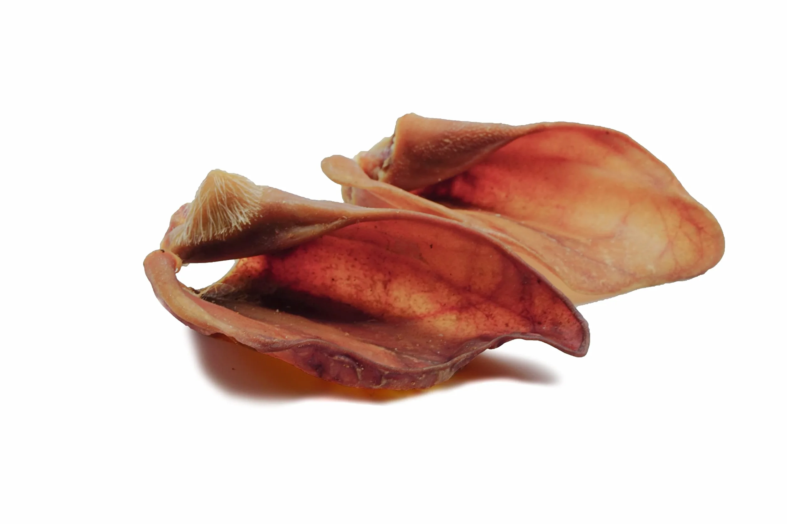 Orecchie di maiale essiccate naturali per cani – 100% puro piacere da masticare, asciugate delicatamente all'aria, senza additivi – Spuntino ideale per la pulizia dei denti (100