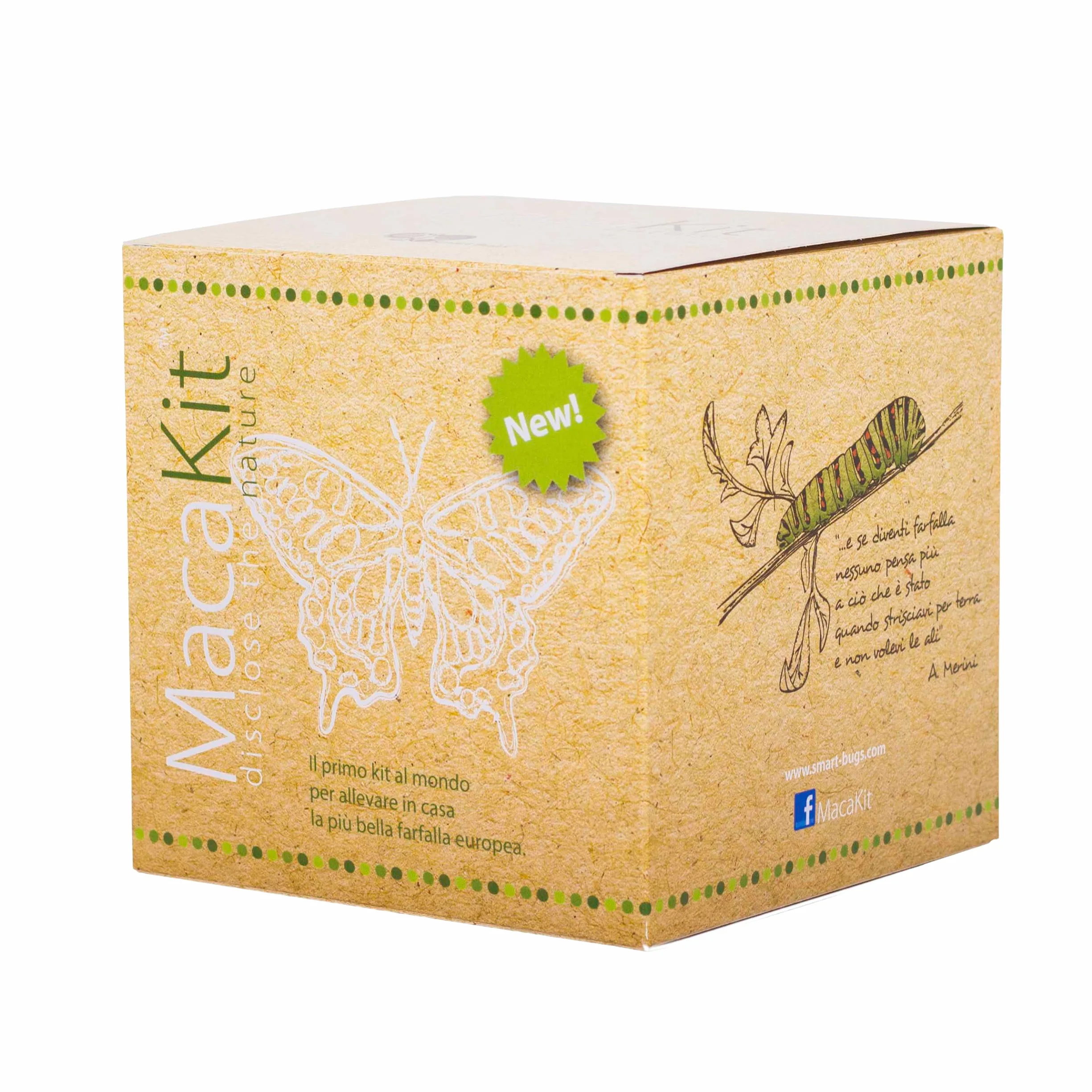 MacaKit, Il Kit per Allevare in Casa Le Farfalle Macaone - Esperimento educativo, Kit educativi scientifici per Bambini, Idee Regalo Bambino Bambina (KIT CON BRUCHI)