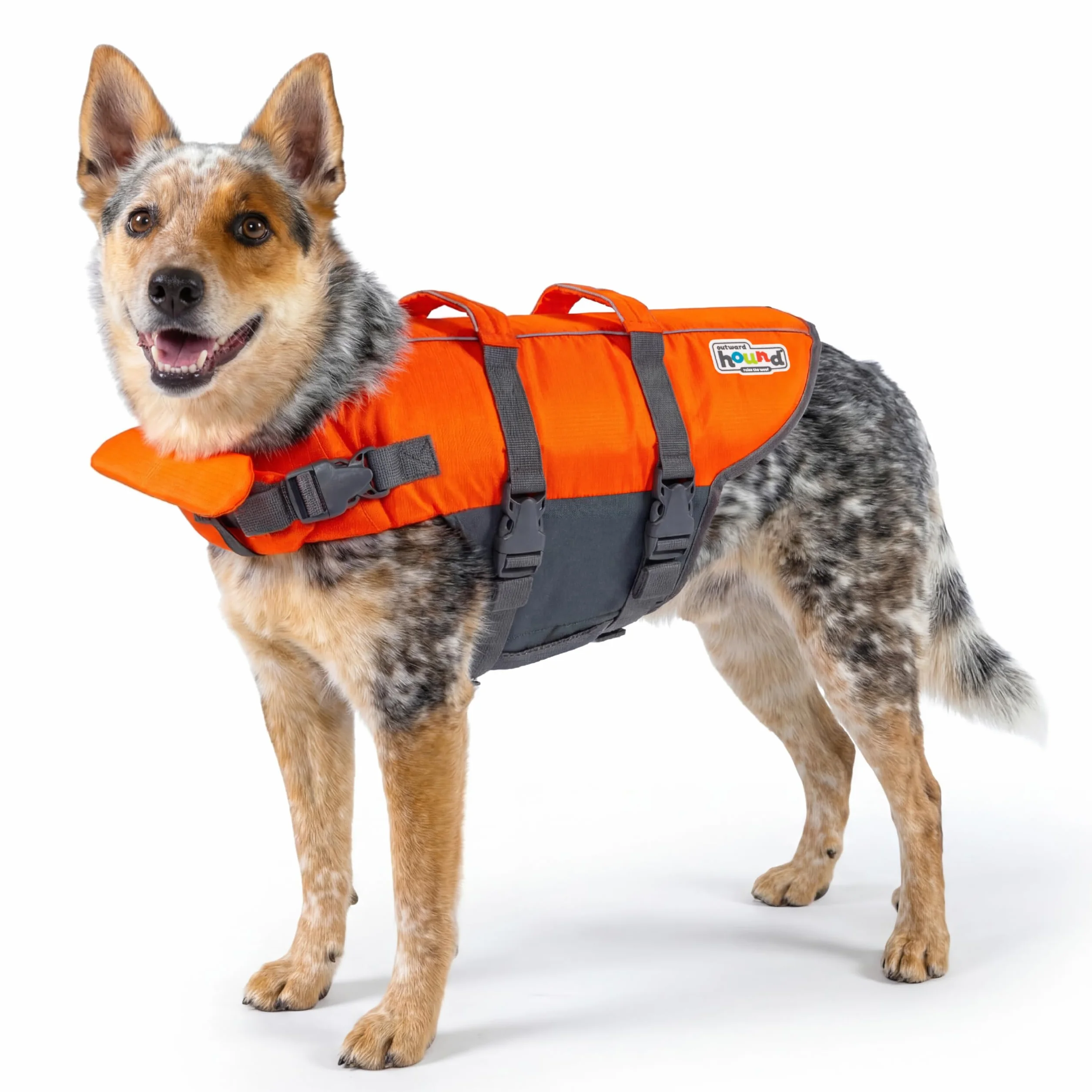 Outward Hound Granby Splash giubbotto salvagente per cani arancia M
