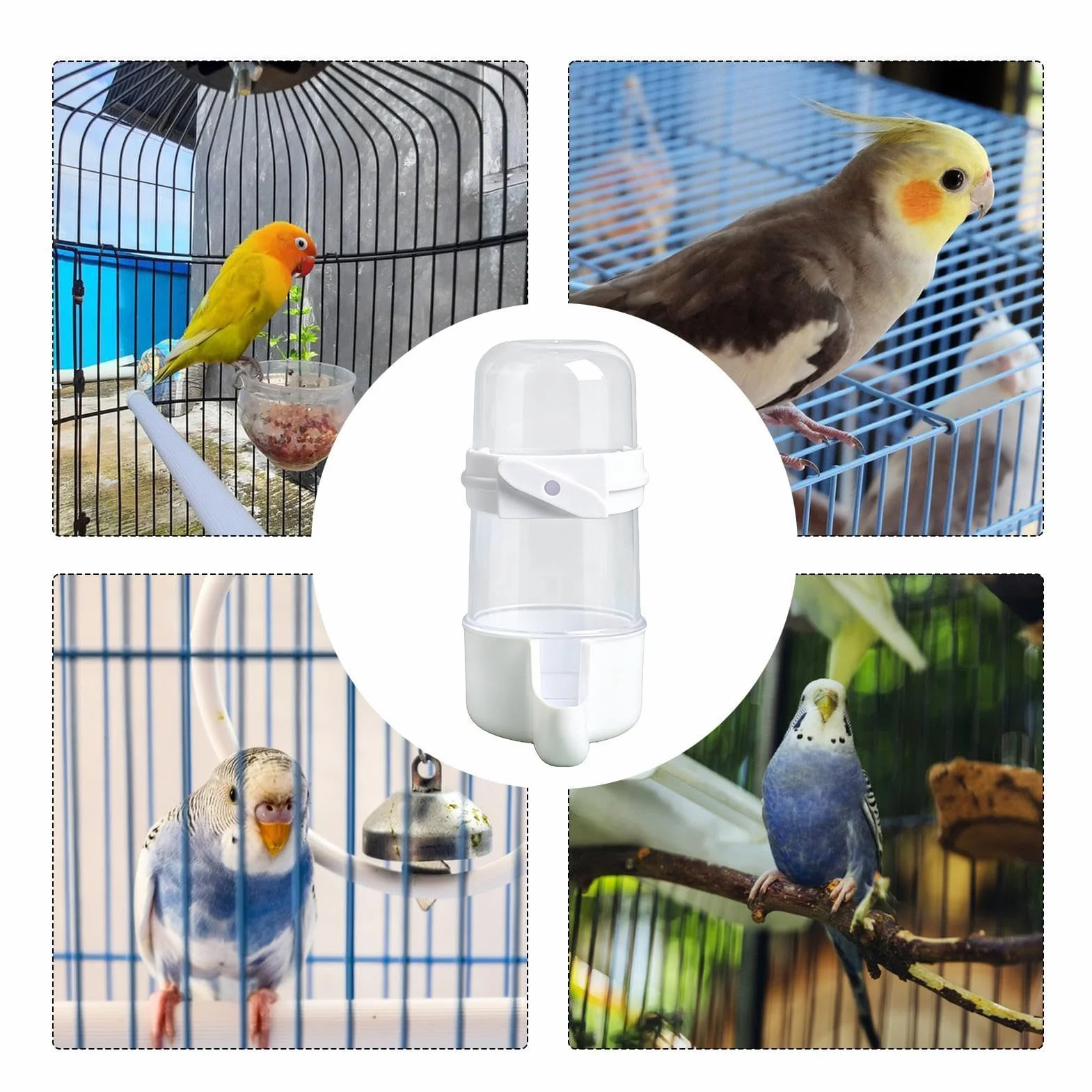 Distributore d'Acqua per Uccelli | 2 Pezzi Trasparenti Chiusura Scatto Automatico | Dispenser di Acqua per Volatili | Adatto a Piccoli Parrocchetti Calopsitte Inseparabili Conuri Pappagalli Canarini R