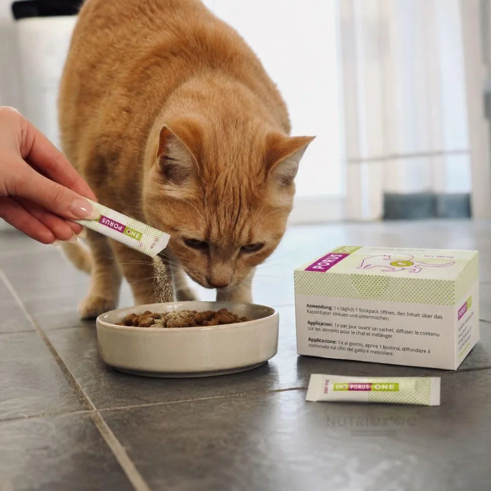 Porus ONE | 30 x 500 mg | Alimento complementare a basso contenuto proteico per gatti | Per gatti con problemi renali | Per ridurre l'aumento delle tossine uremiche