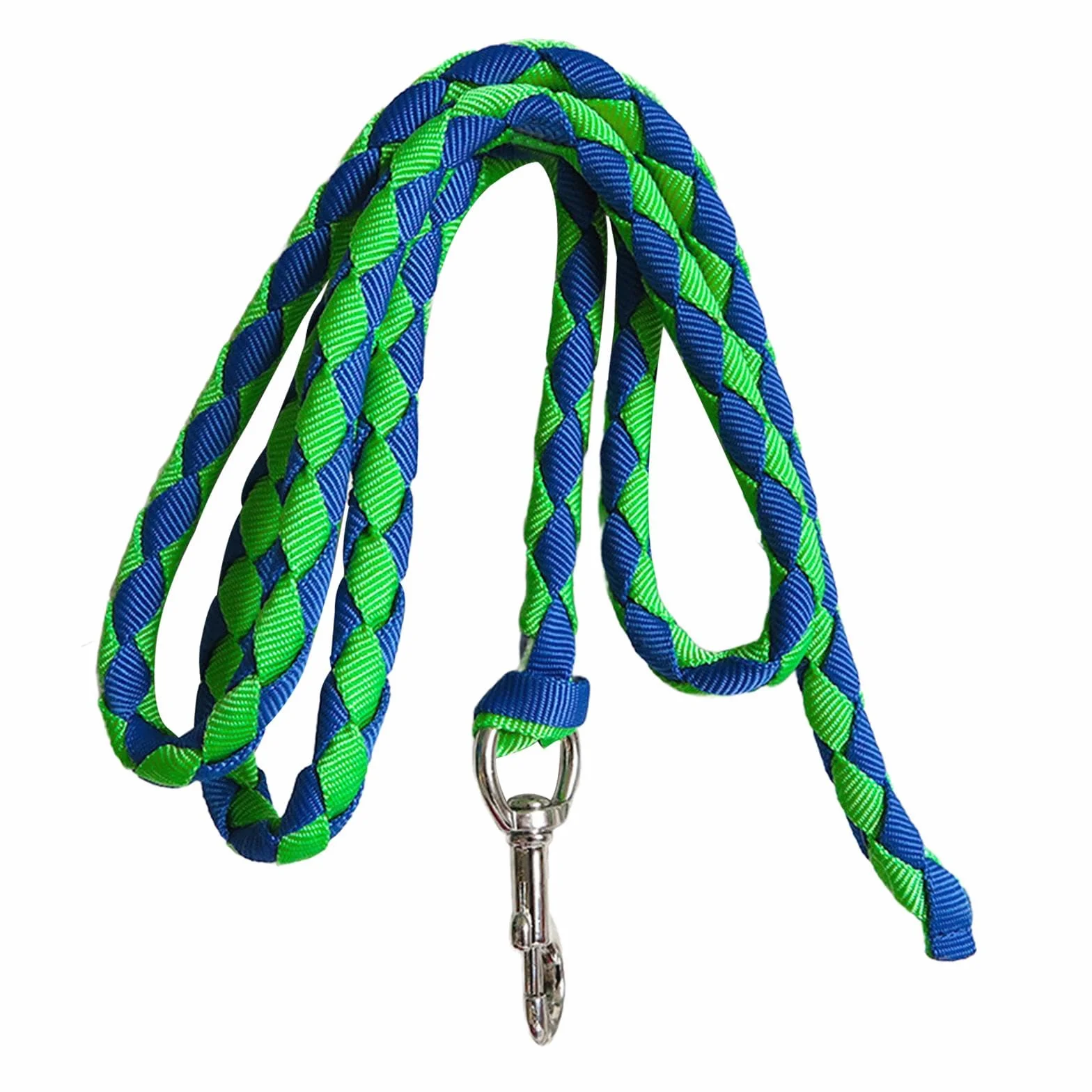 Corda per Cavallo con Attacco a Clip Sicuro, 2.5 m Verde e Blu