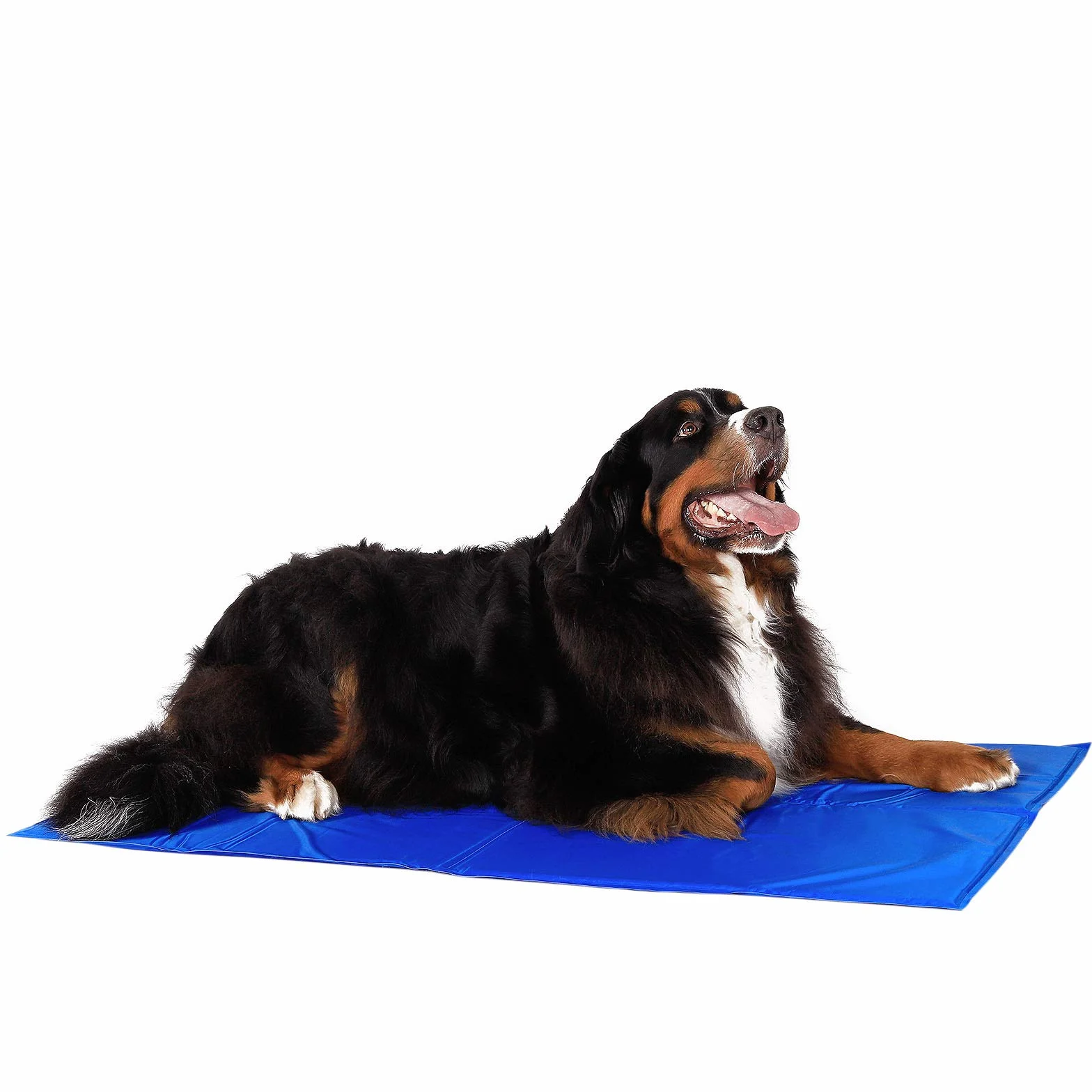 Lionto Tappetino refrigerante per Animali Domestici 120x80 cm Blu XL