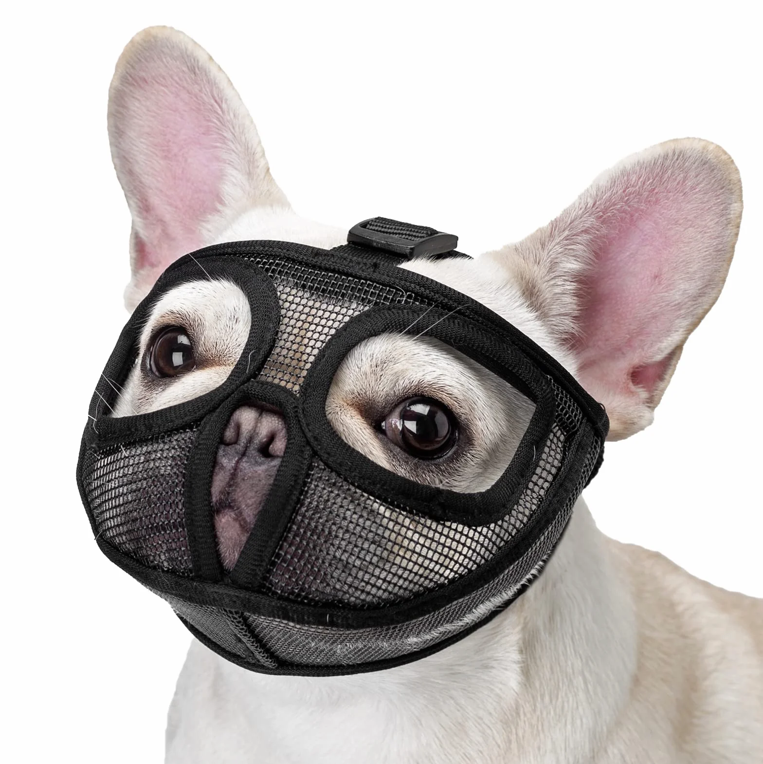 ILEPARK Museruola Cane Short Bunno, Regolabile Non Coprire Ayse Mesh Bulldog Muszza per Morgere Maggio (M,Nero)