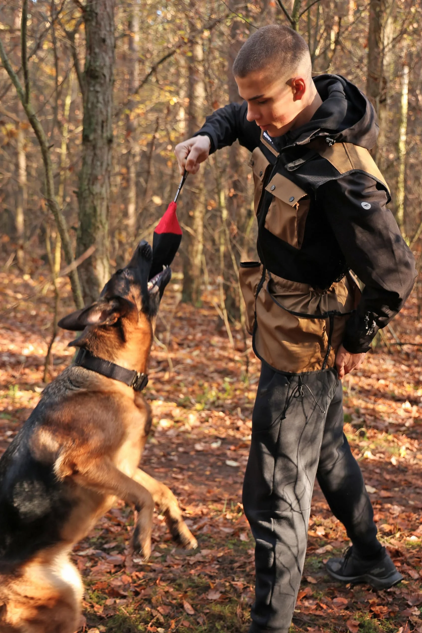 DINGO GEAR Professional Vest for Dog Training D35