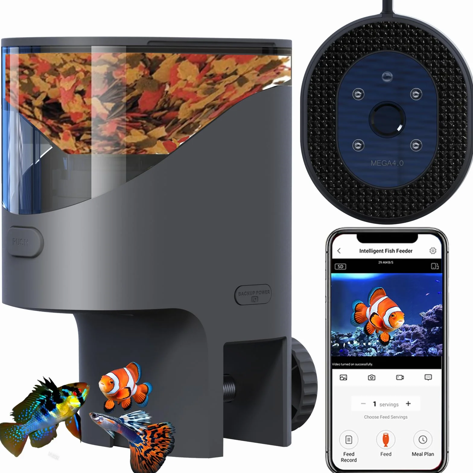 Mangiatoia Pesci WiFi Telecamera 2.5K HD Dosaggio Precisione 0,2g Anti-Intasamento Serbatoio 200ML Anti-Umidità Programmabile Acquario