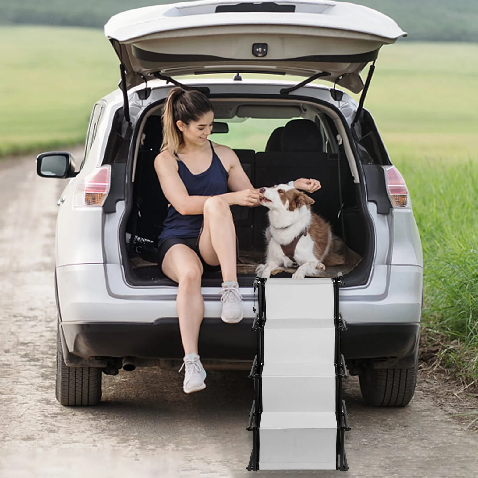 Scaletta per cani fino a 80 kg I utilizzabile per tutti i veicoli I Scala per cani pieghevole I Rampe per cani piccoli e grandi | Rampa auto cane-grigio chiaro