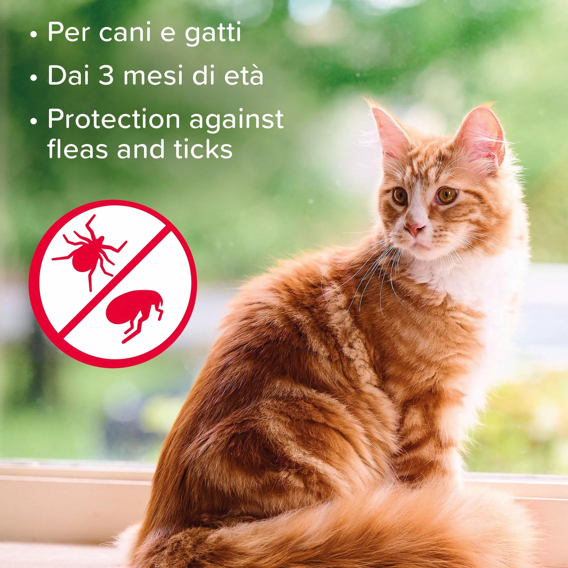 Beaphar Shampoo Antiparassitario A.P.E., Trattamento Specifico per Zecche e Pulci del Cane e del Gatto, Shampoo Antipulci alla Tetrametrina, 200 ml