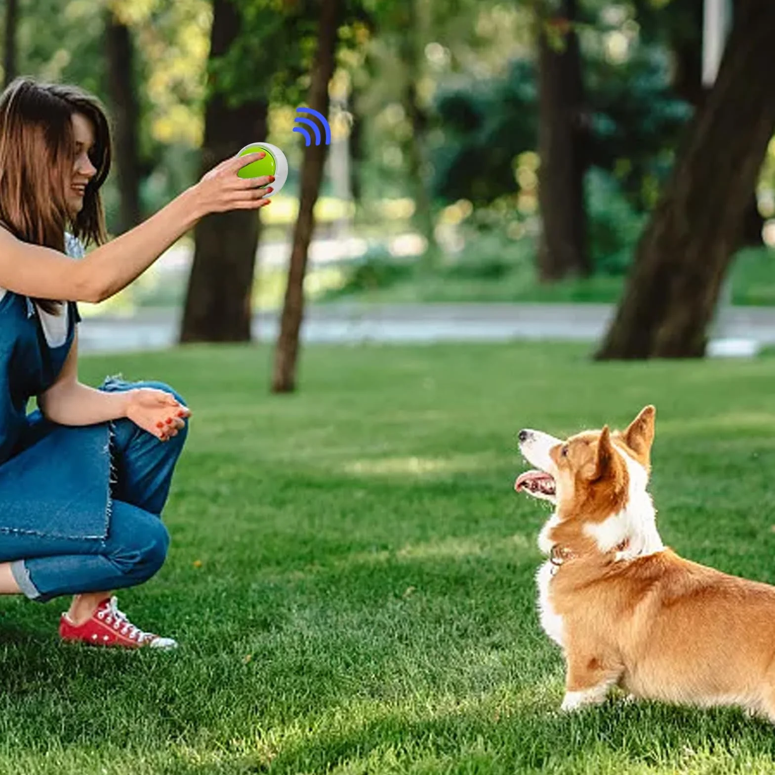 Pulsanti parlanti per cani, pulsanti parlanti per cani - Pulsante di registrazione vocale per l'addestramento del cane | Forniture interattive per animali domestici con registrazione e