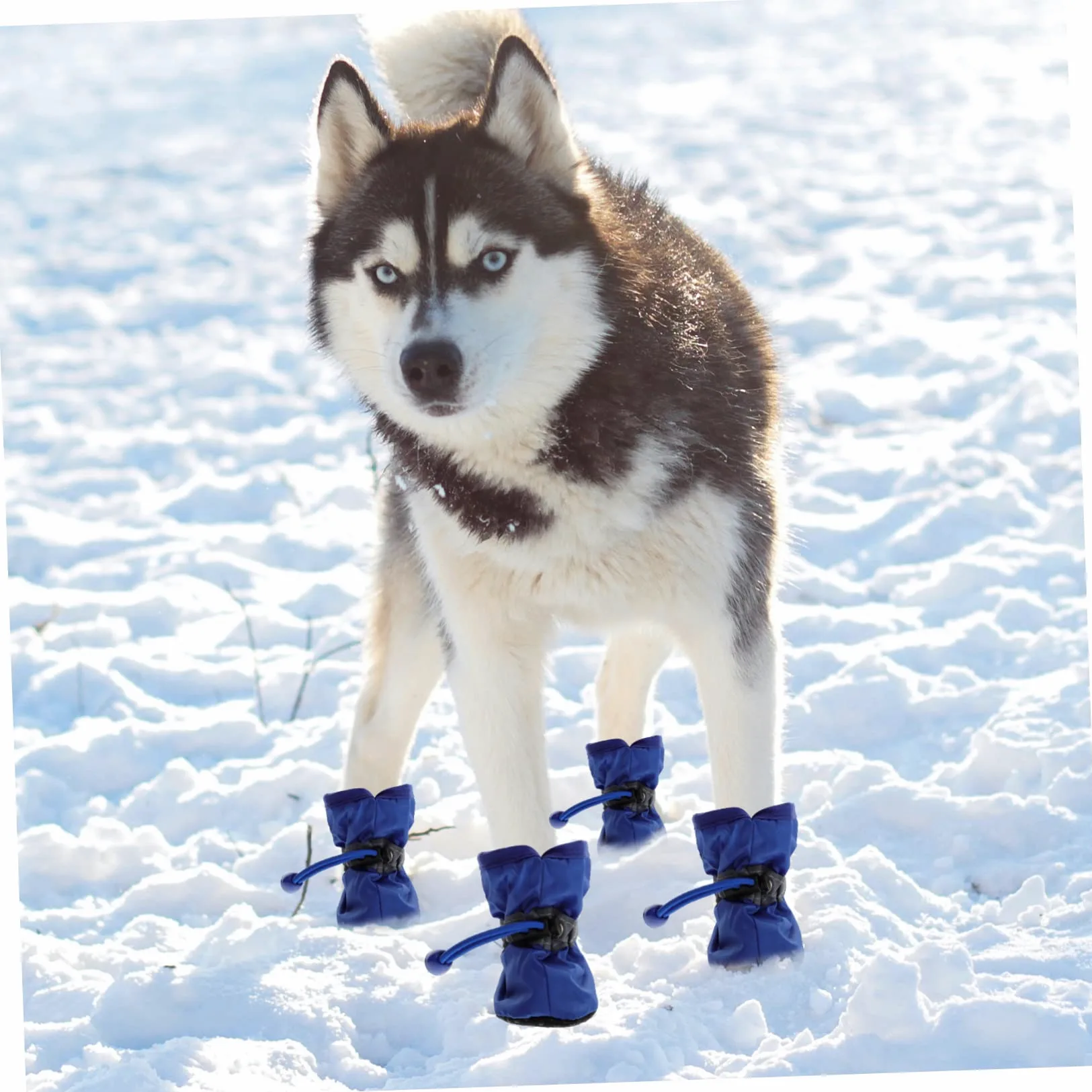 ABOOFAN 9 Set di Stivali da Pioggia per Cani Resistenti Allacqua per Esterni Facili da Indossare