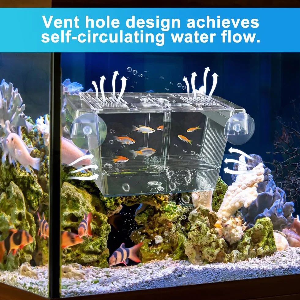 Scatola di Allevamento per Pesci o Acquario Box Isolamento in Acrilico per Pesci Scatola di Isolamento per Acquario per Pesce，con 5 Ventose, per Proteggere gli Avannotti, 23x9.8x9.5cm