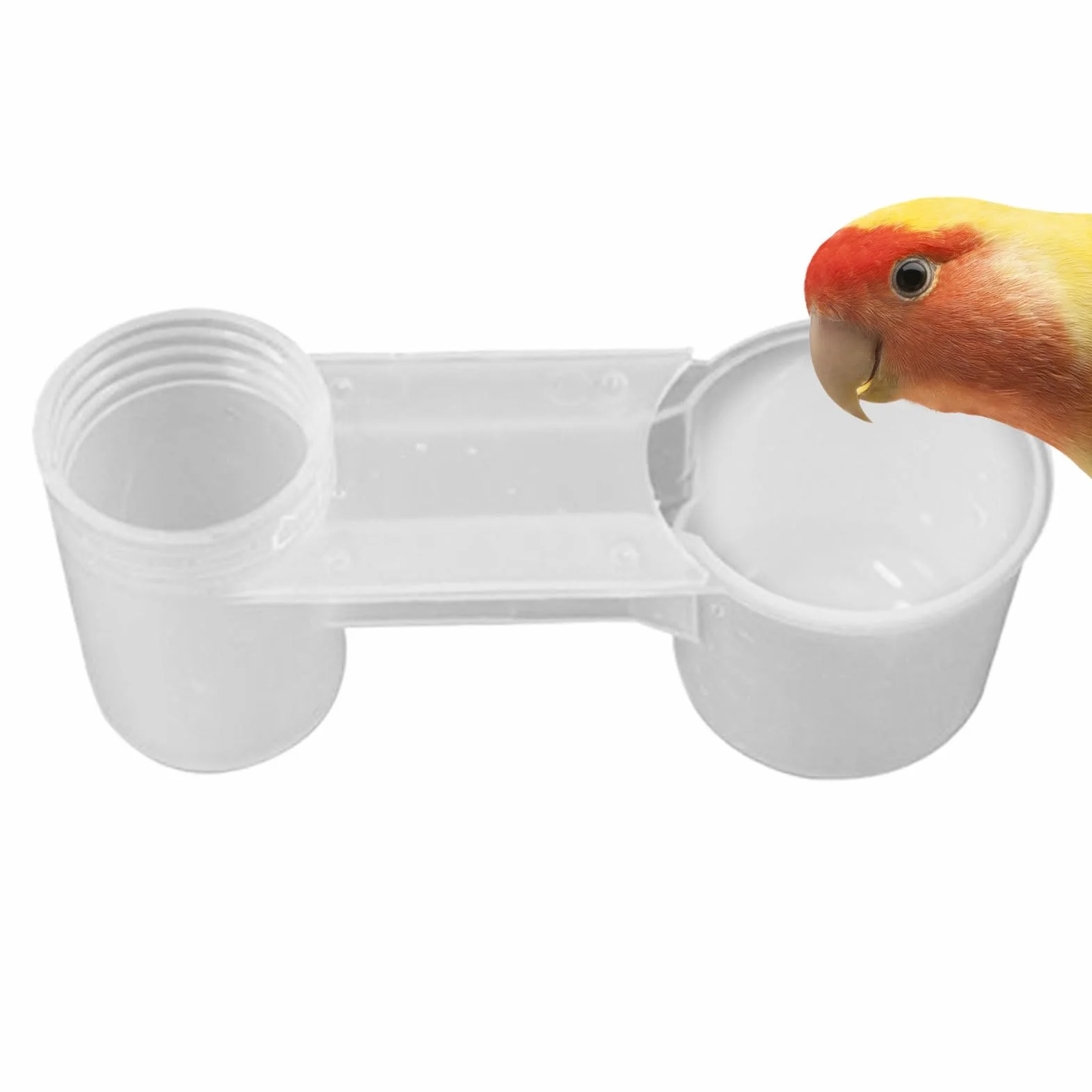 Abbeveratoio per pollame | Abbeveratoio per uccelli a gabbia con bottiglia - Dispenser a due porte per piccioni parrocchetti fringuelli galline giardino casa