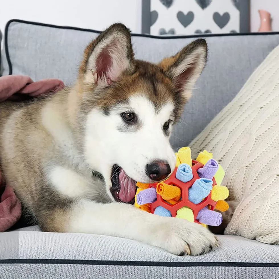 Jiahuade Palla da Fiuto per Cani,Sniffing Ball per Cani,Palla da Sniffing Mat Interattivi,Gioco Sfera Puzzle cani,Tappeto da Fiuto,Giocattolo Puzzle