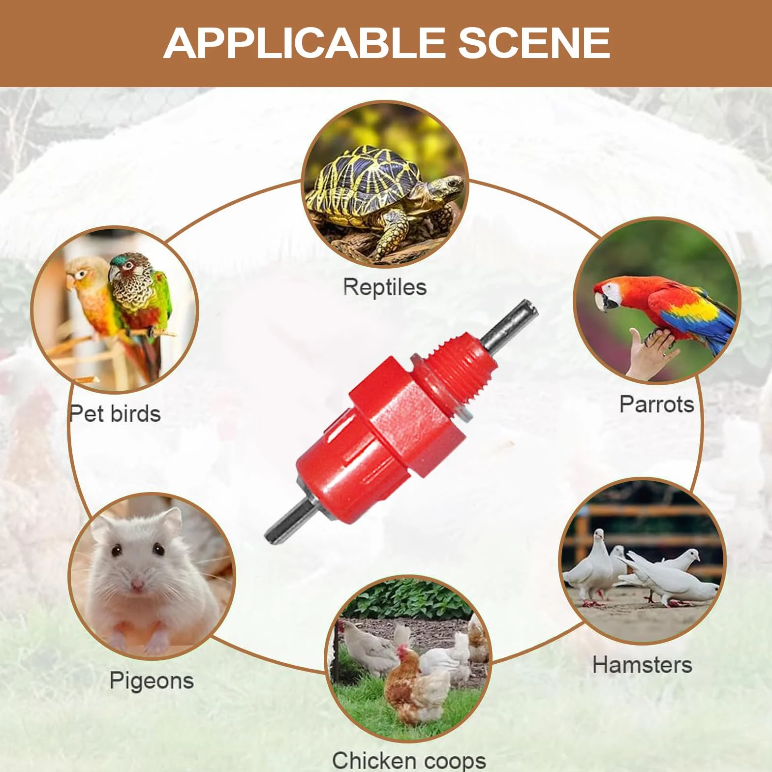 Abbeveratoio A Capezzolo Per Pollaio - Bocchettoni Per Abbeveratoio Galline,Fontana Bere Automatica Inossidabile Portatile Per Gabbie Uccelli Capre Conigli Paperi Polli Inverno Giardino