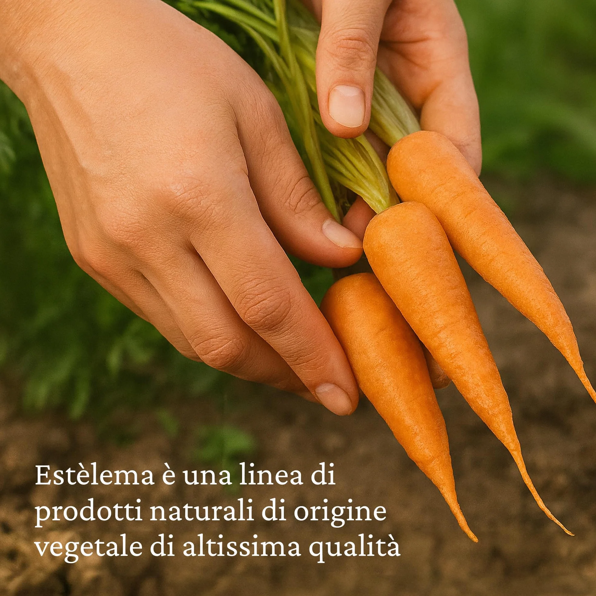 Carote Disidratate a pezzi per Cani 400g | 100% Naturali, Senza Additivi | Snack e Integrazione Dieta Casalinga BARF | 15 g ≈ 100 g Carote Fresche