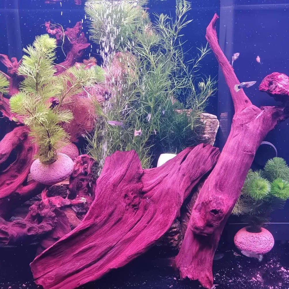 EmoursTM Legni decorativi per acquario