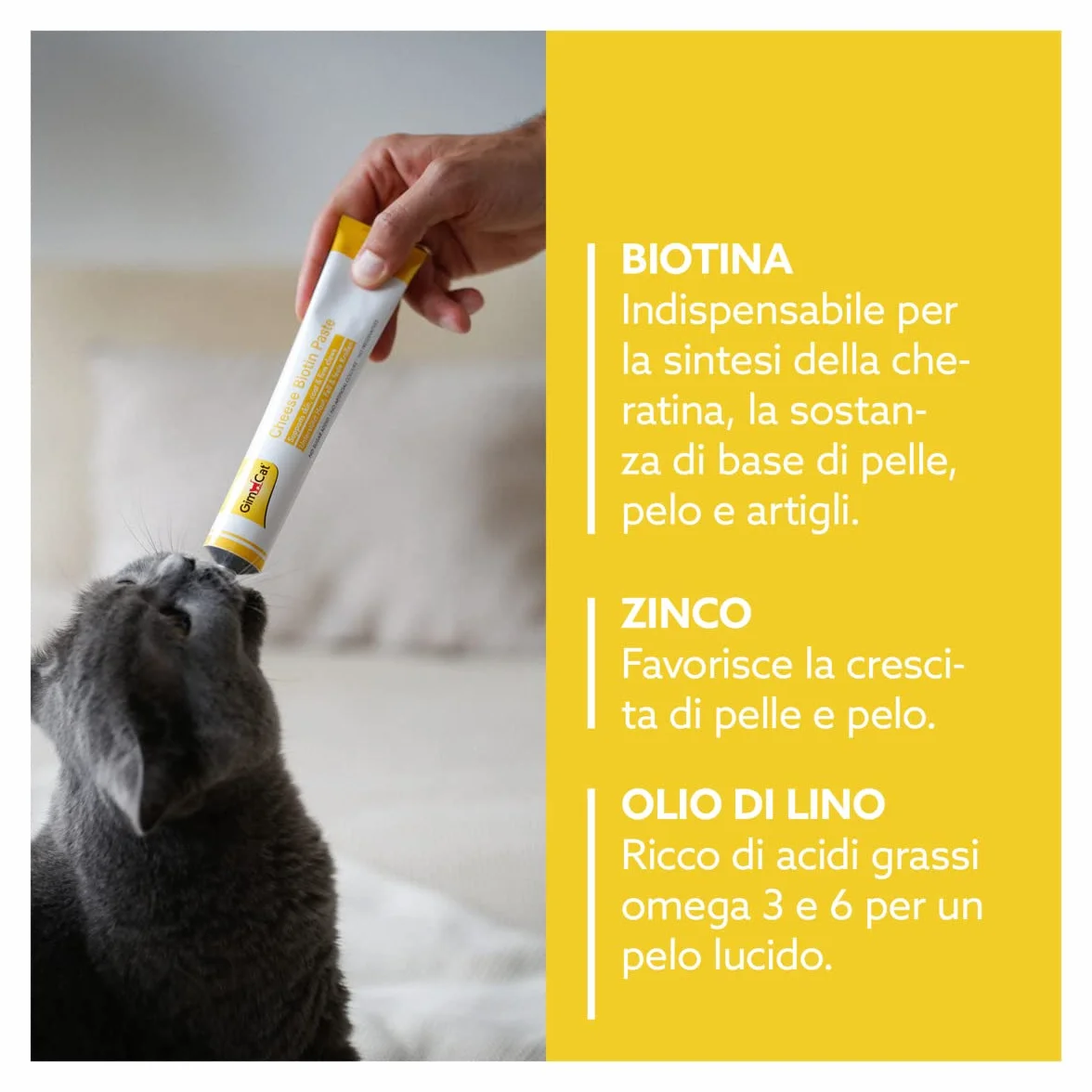GimCat Cheese Biotin Pasta - Con formaggio aromatico, zinco e olio di lino per il pelo, la cute e gli artigli - 1 tubetto (1 x 200 g)