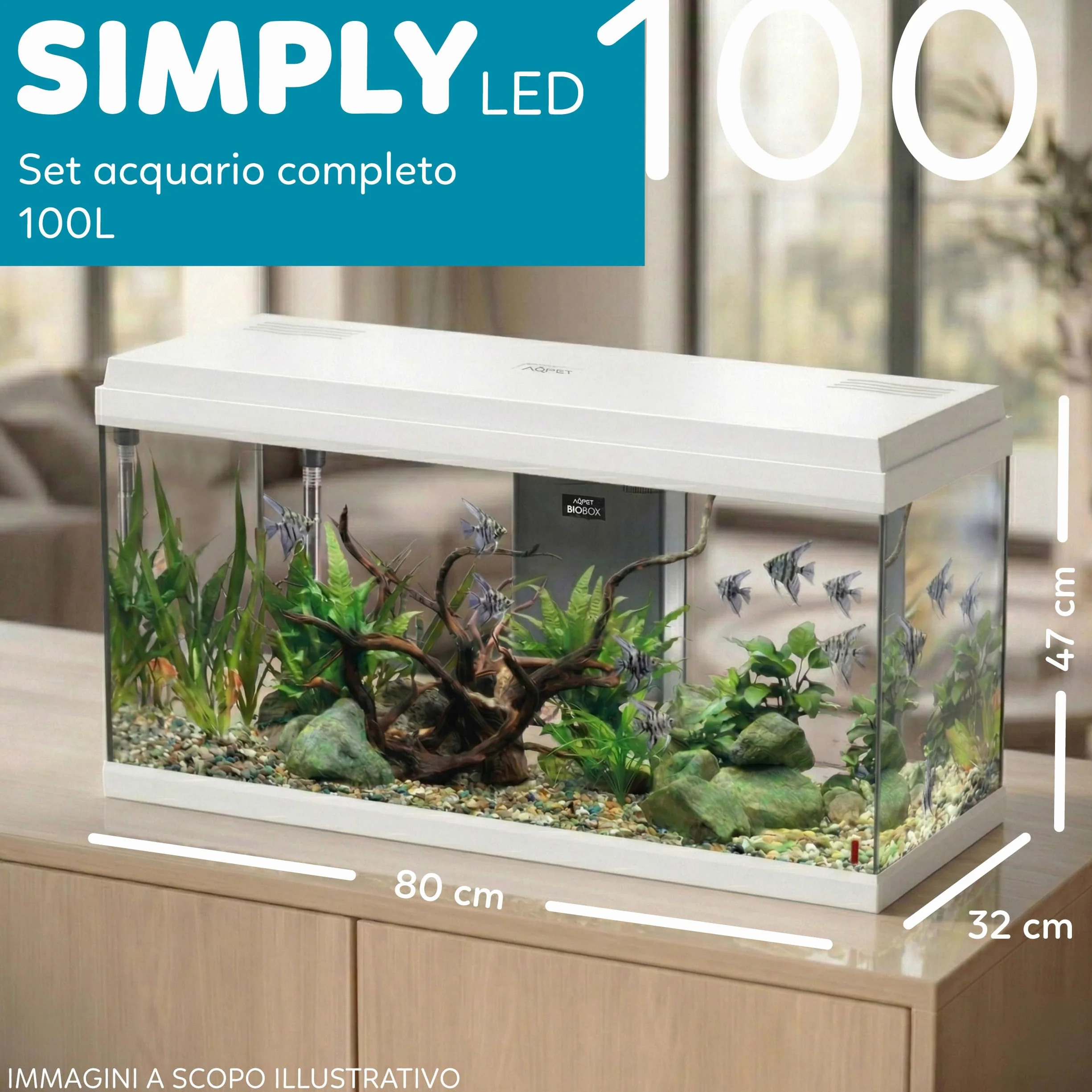 Aqpet Acquario in Vetro per Pesci tropicali Completo di Accessori Filtro Luce Simply, 100 80x32x47 cm 100 Litri, Bianco