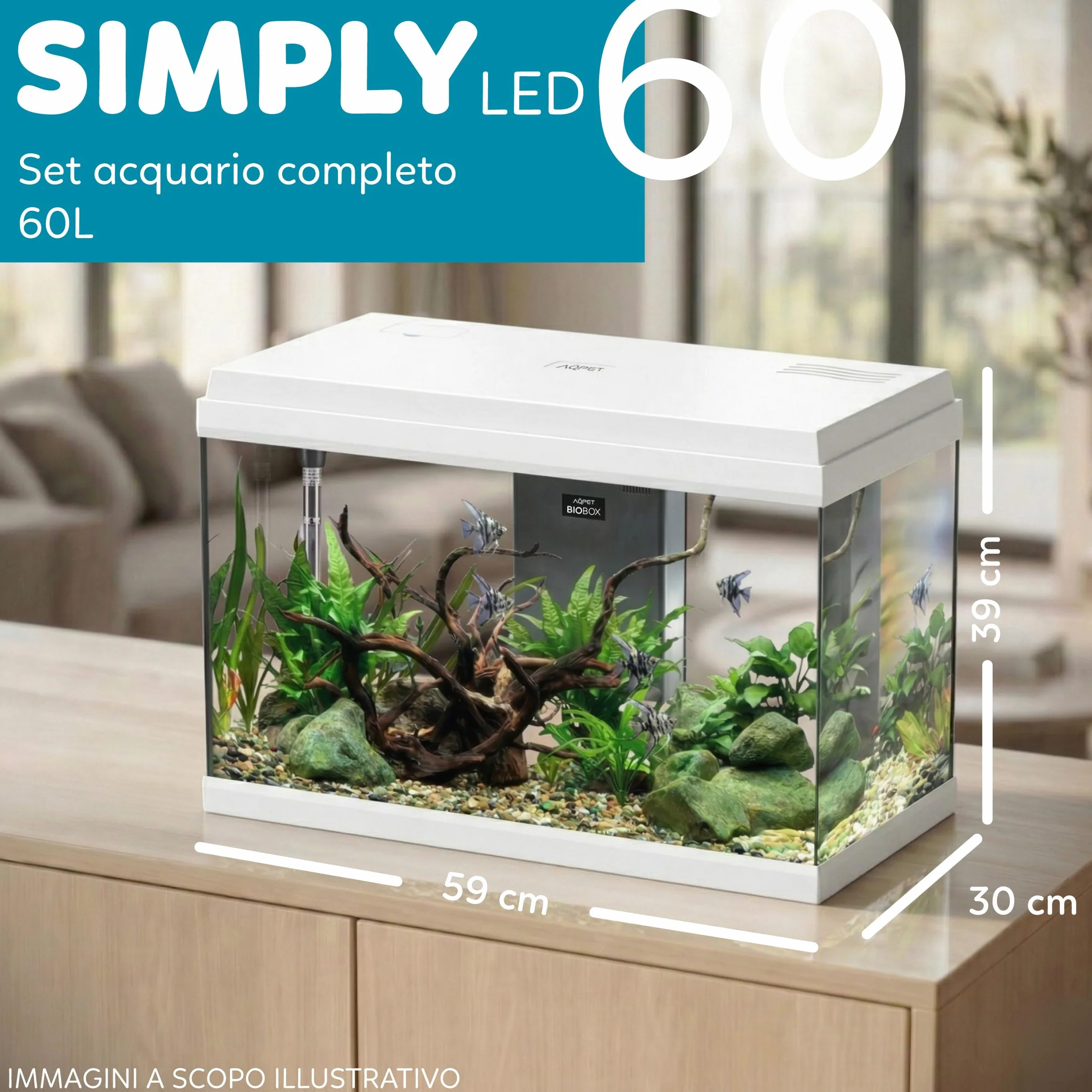 AQPET Acquario in Vetro per Pesci Tropicali Completo di Accessori Filtro Luce Simply, 60 59x30x39 cm 60 Litri, Bianco