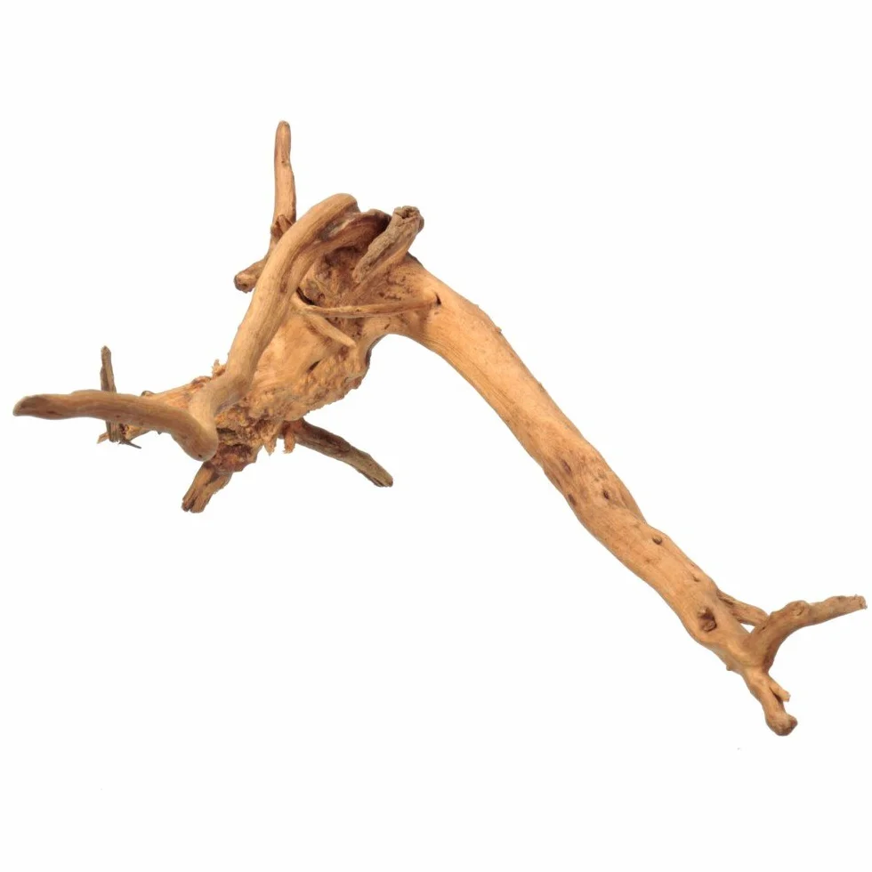 Legno Naturale Per La Decorazione Dell'Acquario, 5-20cm Paesaggio Naturale Driftwood Decorazioni Per Acquario Decorazione Della Radice Dell'Albero Di Legno