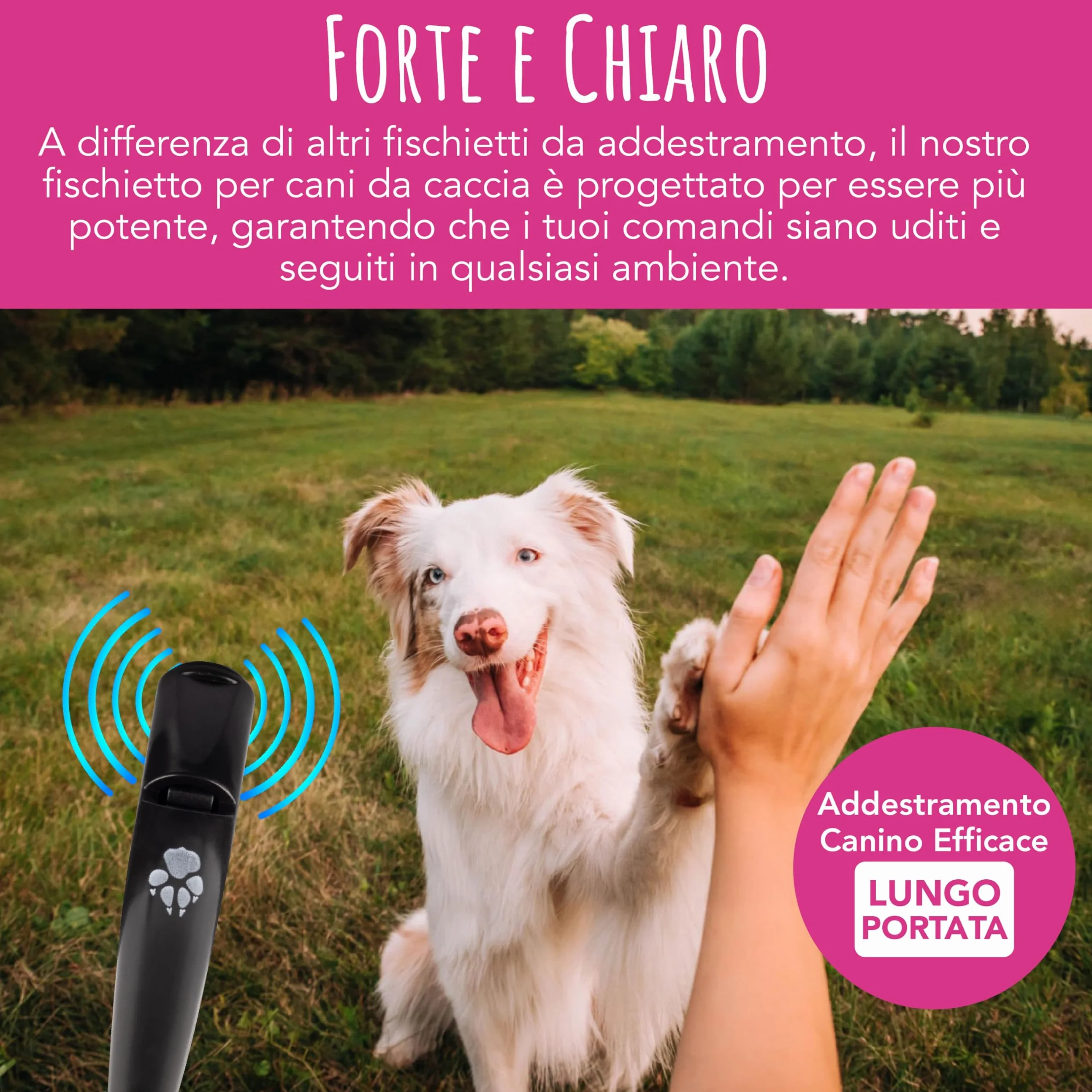 TDL Fischietto per Cani con Cordino – Strumento a Lunga Distanza per Il Richiamo e l’Obbedienza dei Cuccioli – Fischietto da Viaggio con Suono Forte per Tutte Le Razze – Nero con Corda Verde Militare
