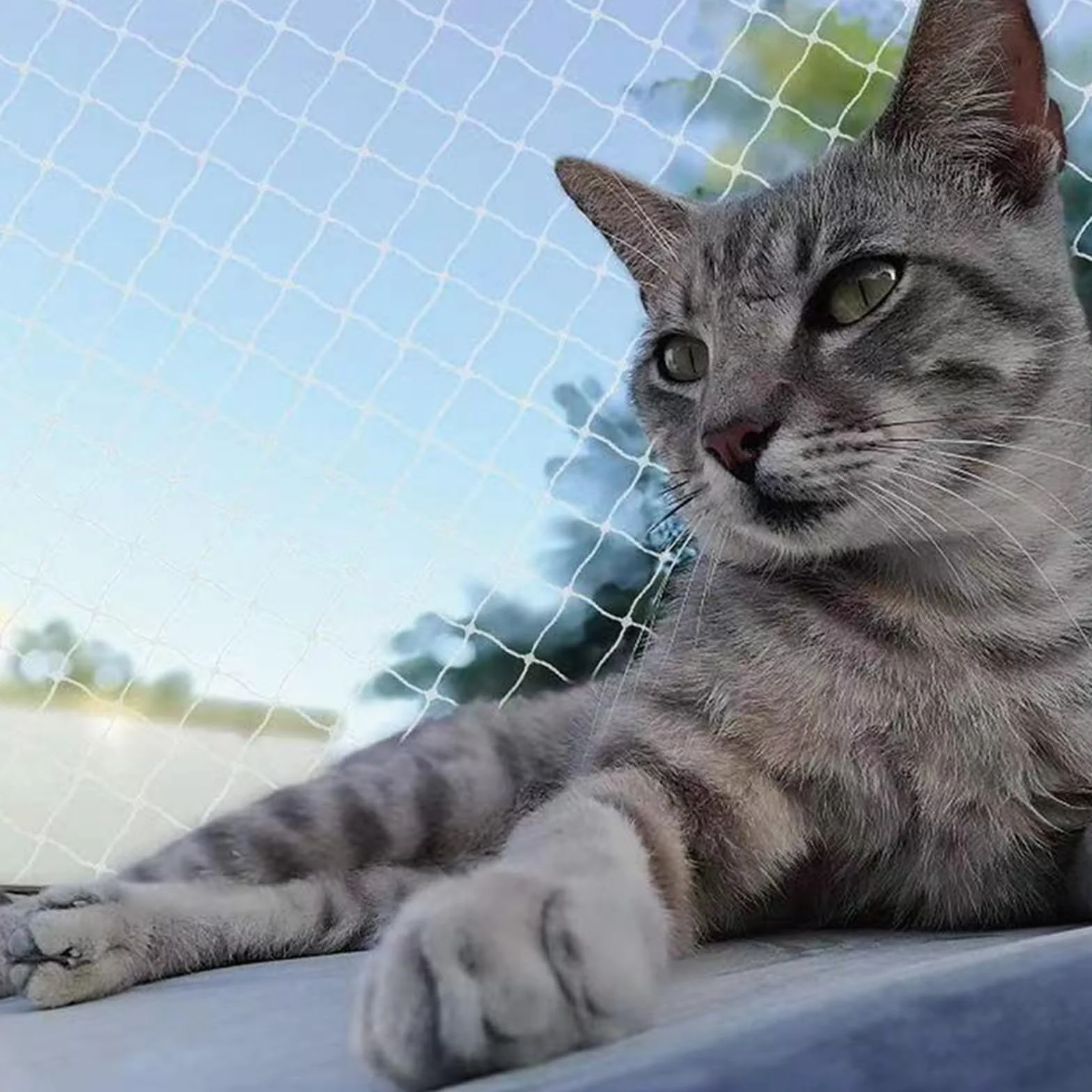 Rete Gatti, 4x3m Rete per Balcone Esterno, Rete Anti piccioni, con Rete Rinforzata - Installazione Senza Foratura, Resistente a Strappi/Morsi/Raggi UV - per Balconi Esterni, Scale, Finestre (6 x 3 m)