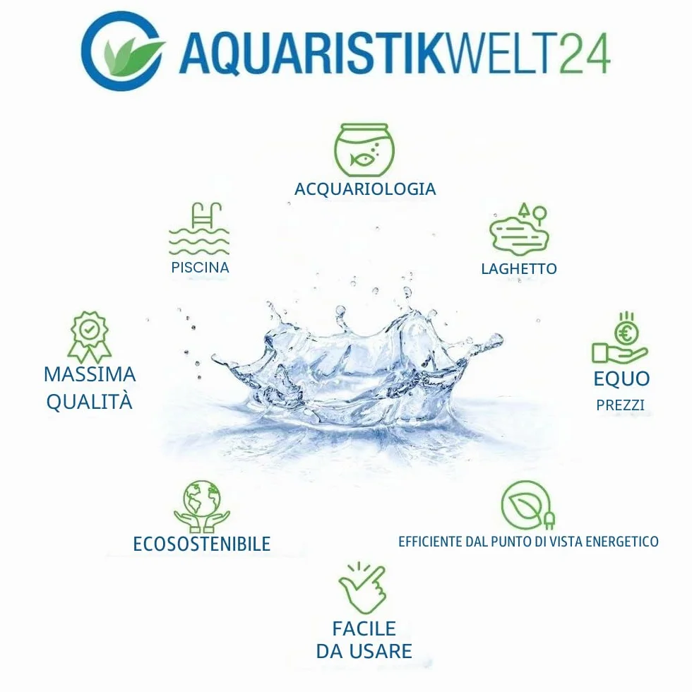 AquaOne Pianta per acquario Anubias barteri var. barteri | Pianta acquatica per acquario, rizoma/rizoma, completamente radicata, facile da pulire, decorazione per Aquascaping