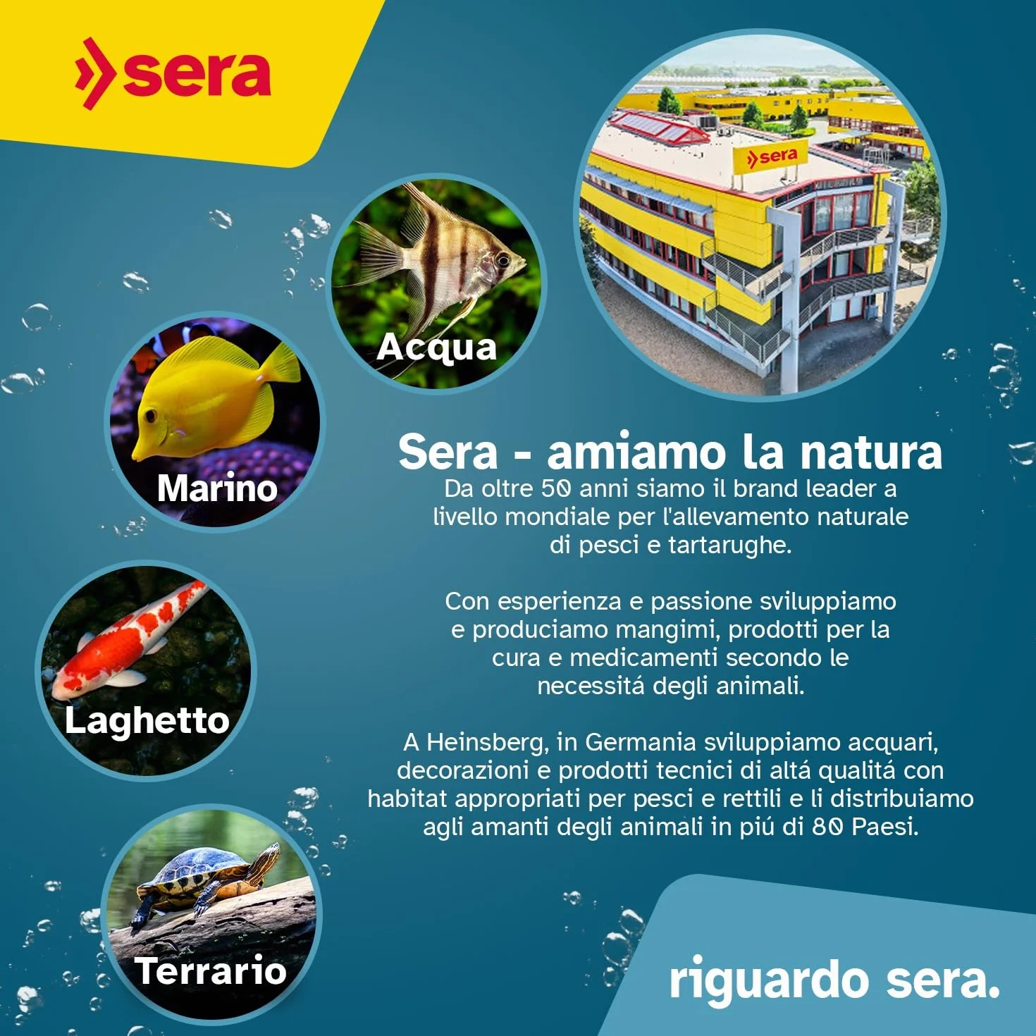 sera Nitrate Test 15ml | Misura livello di nitrati per prevenire alghe e favorire crescita delle piante | Kit analisi acqua con cuvetta, siringa, cucchiaino, scheda di valutazione