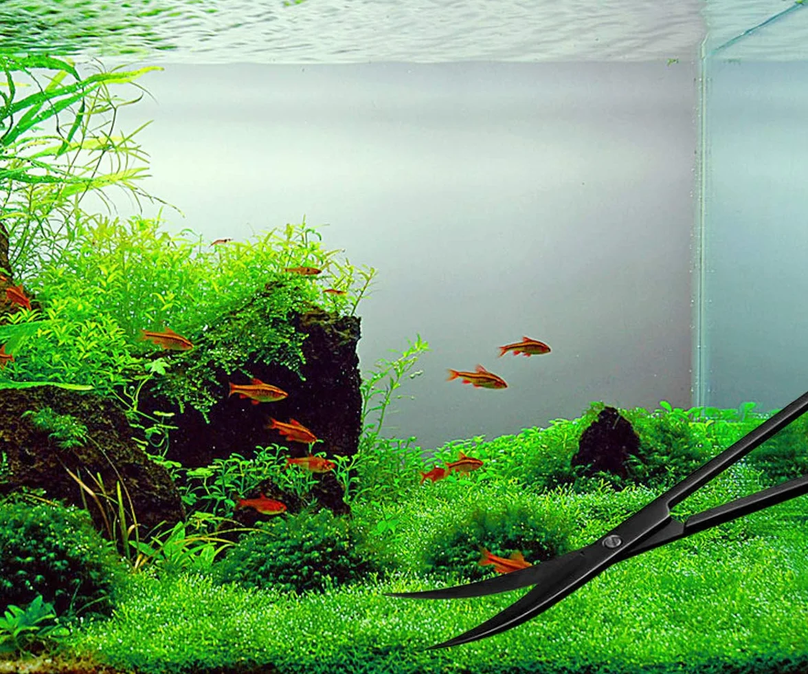 5 in 1 Acquario Aquascaping Kit in Acciaio Inox Acquario Acquario Pesci Serbatoio Piante Acquatico Pinzette Forbici Spatola Set Nero