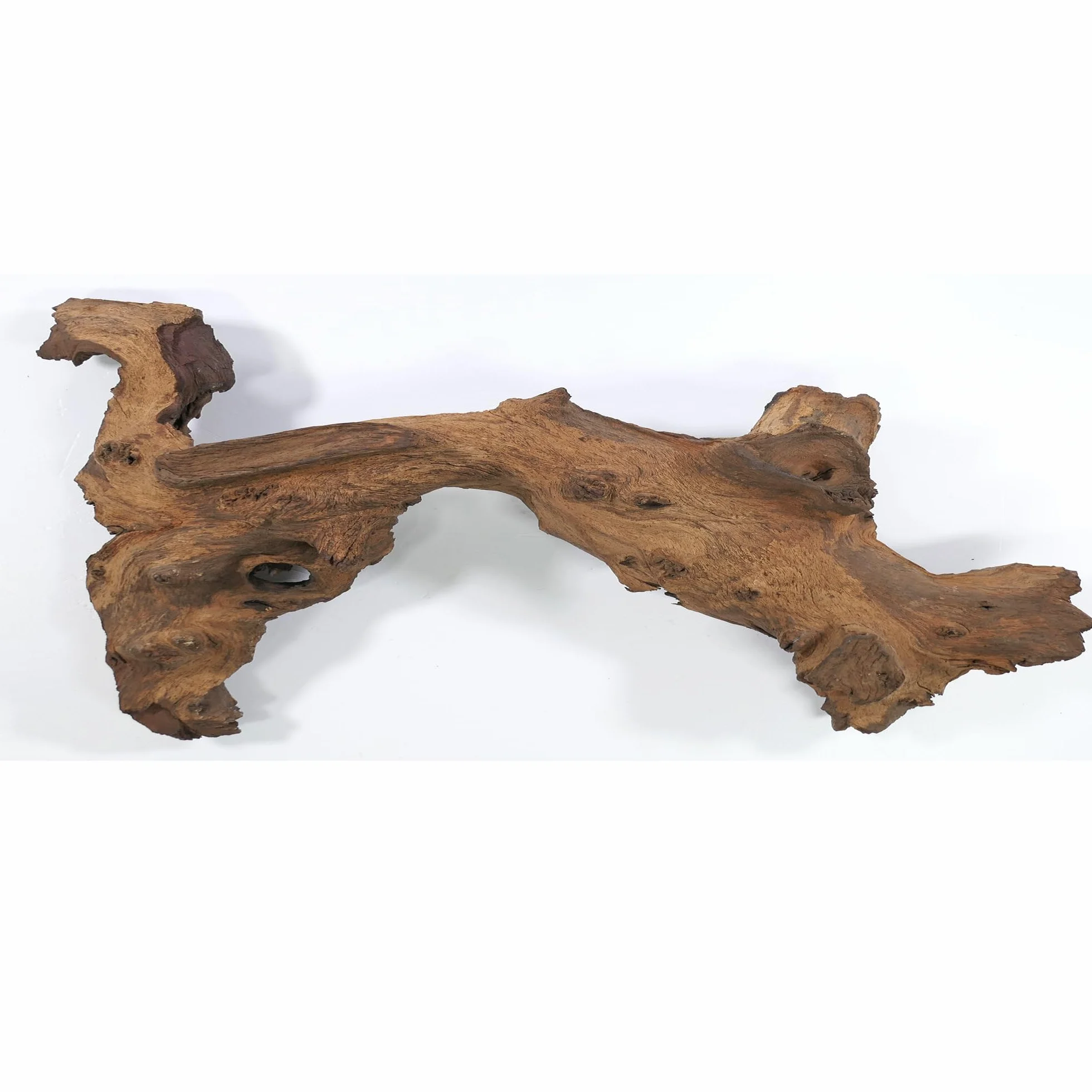 Mopani radice XL // radice in vero legno decorazione per acquario, gamberetti, pesci d'acquario Hard Scape 40 cm - 50 cm (Mangrove Savanna) Aquascaping